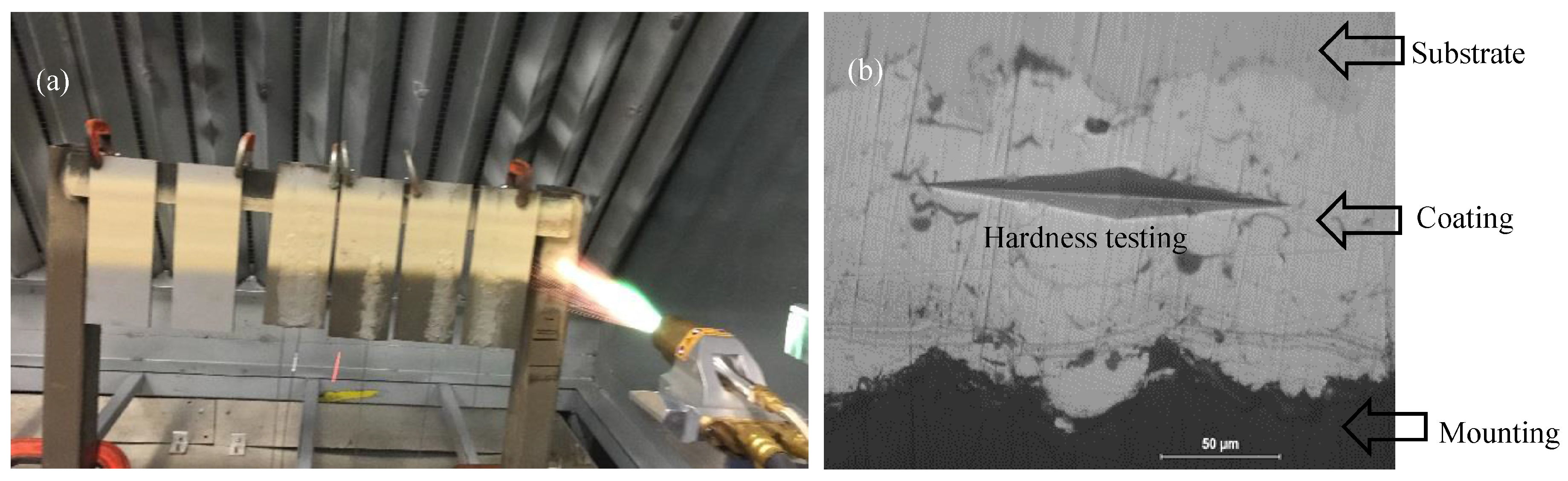 Coatings 07 00035 g009