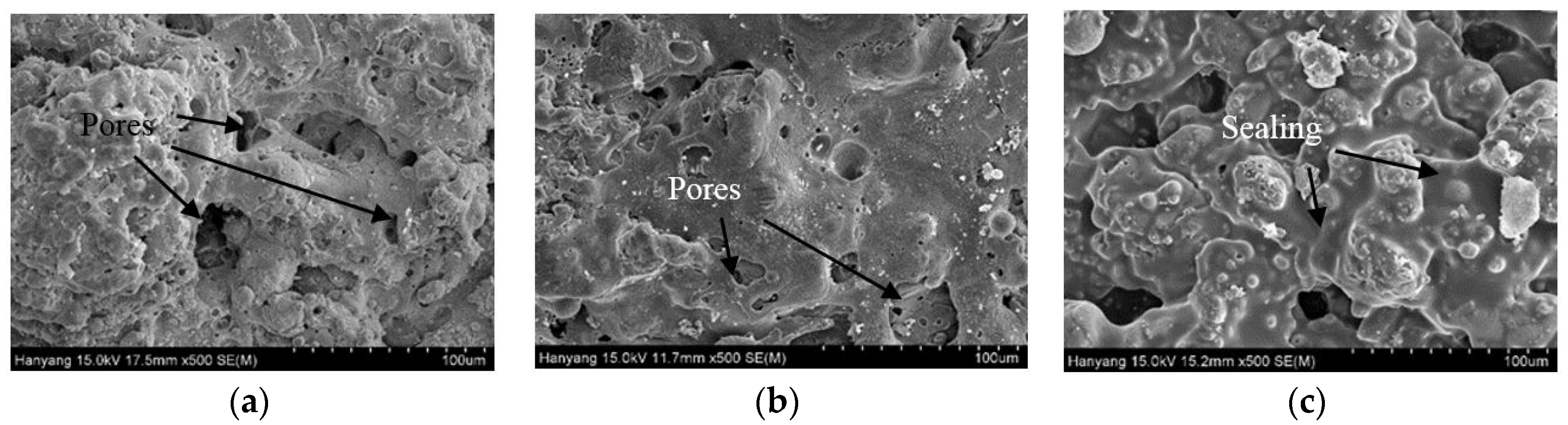 Coatings 07 00041 g013