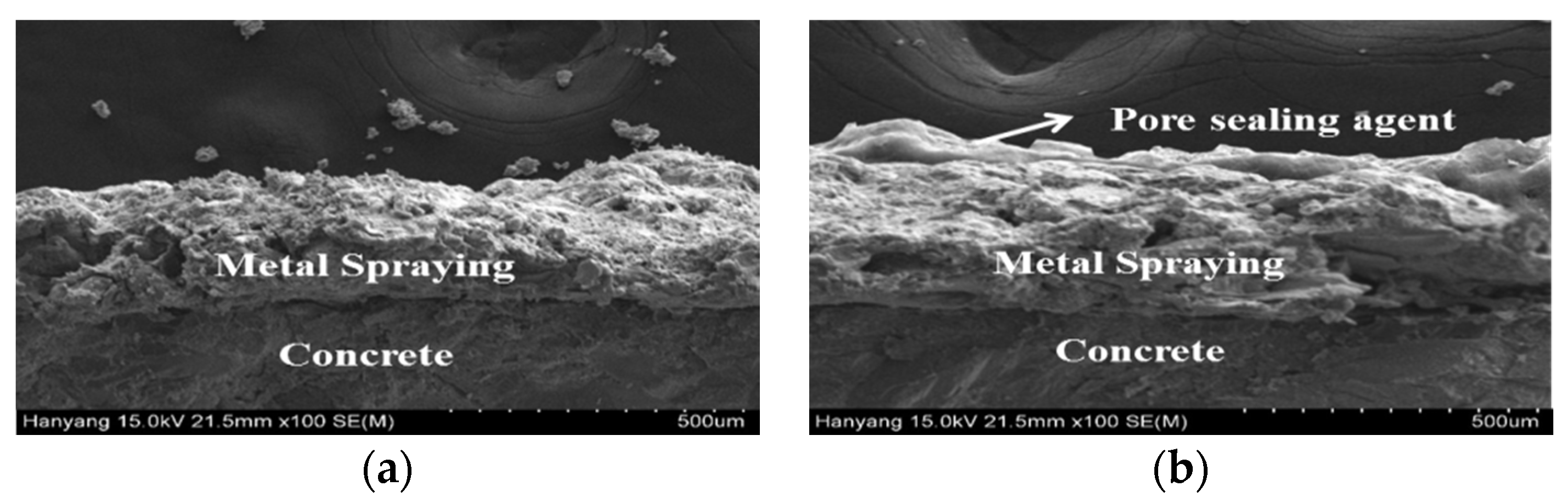 Coatings 07 00041 g014