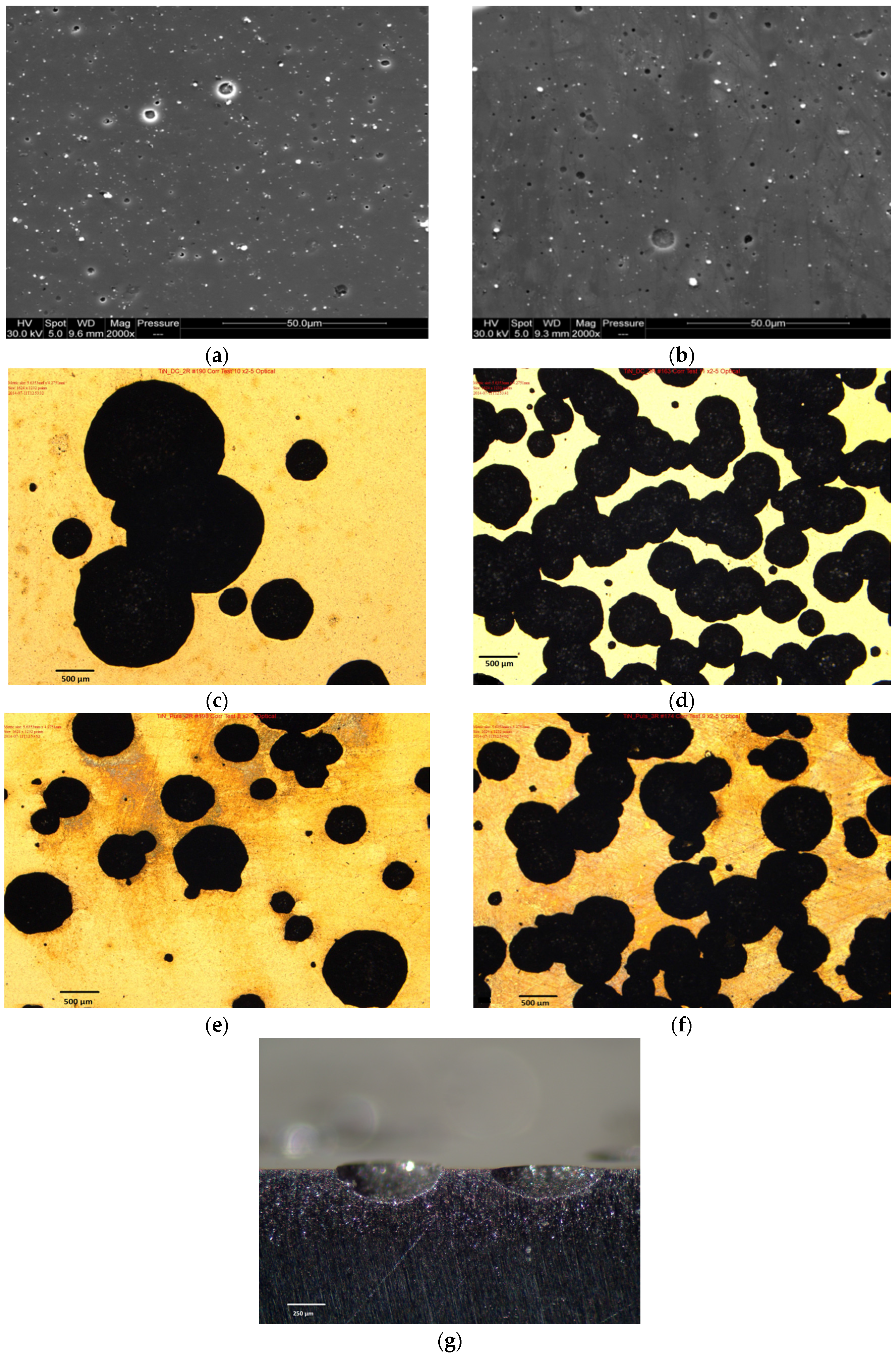 Coatings 07 00050 g005