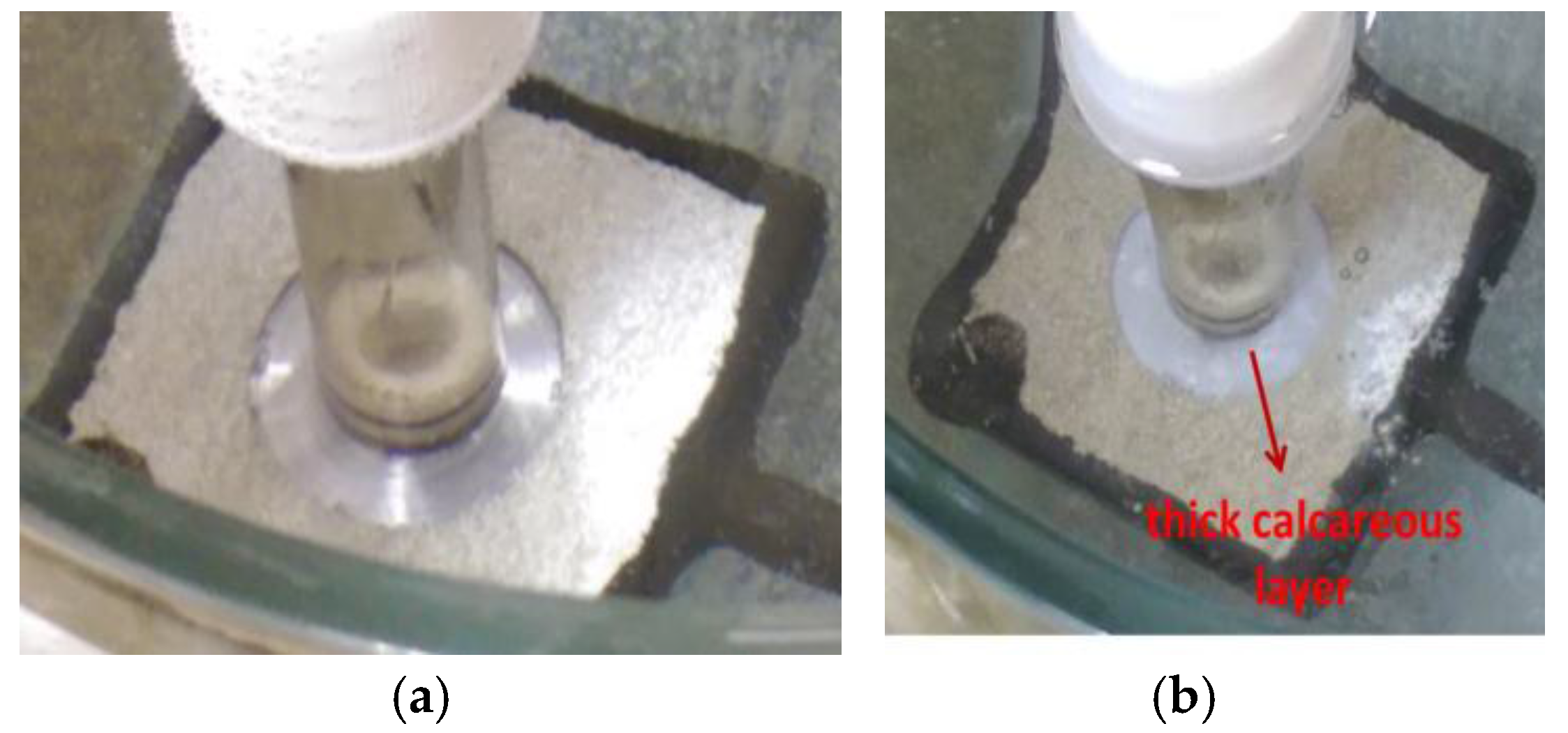 Coatings 07 00052 g003
