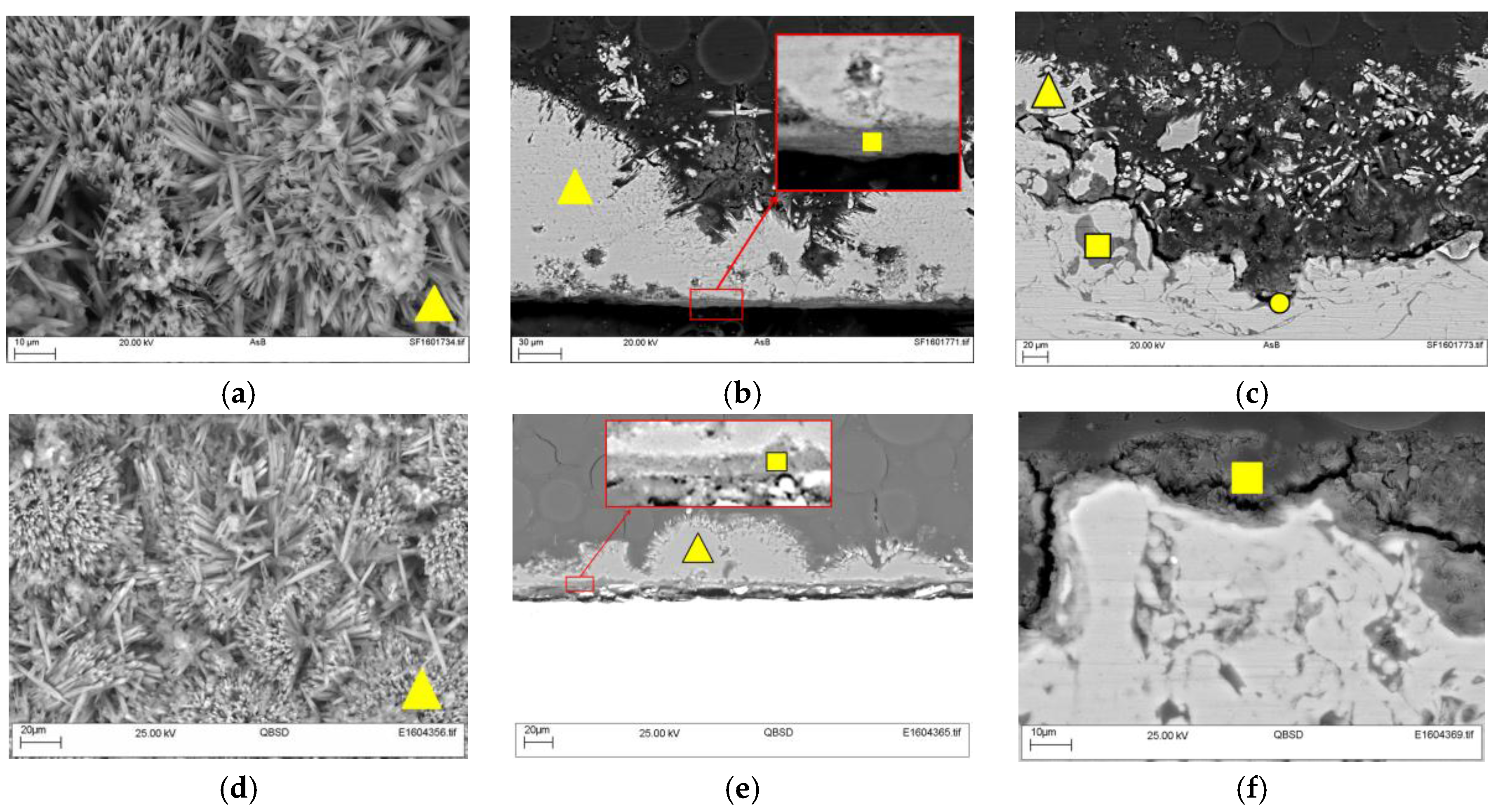 Coatings 07 00052 g005
