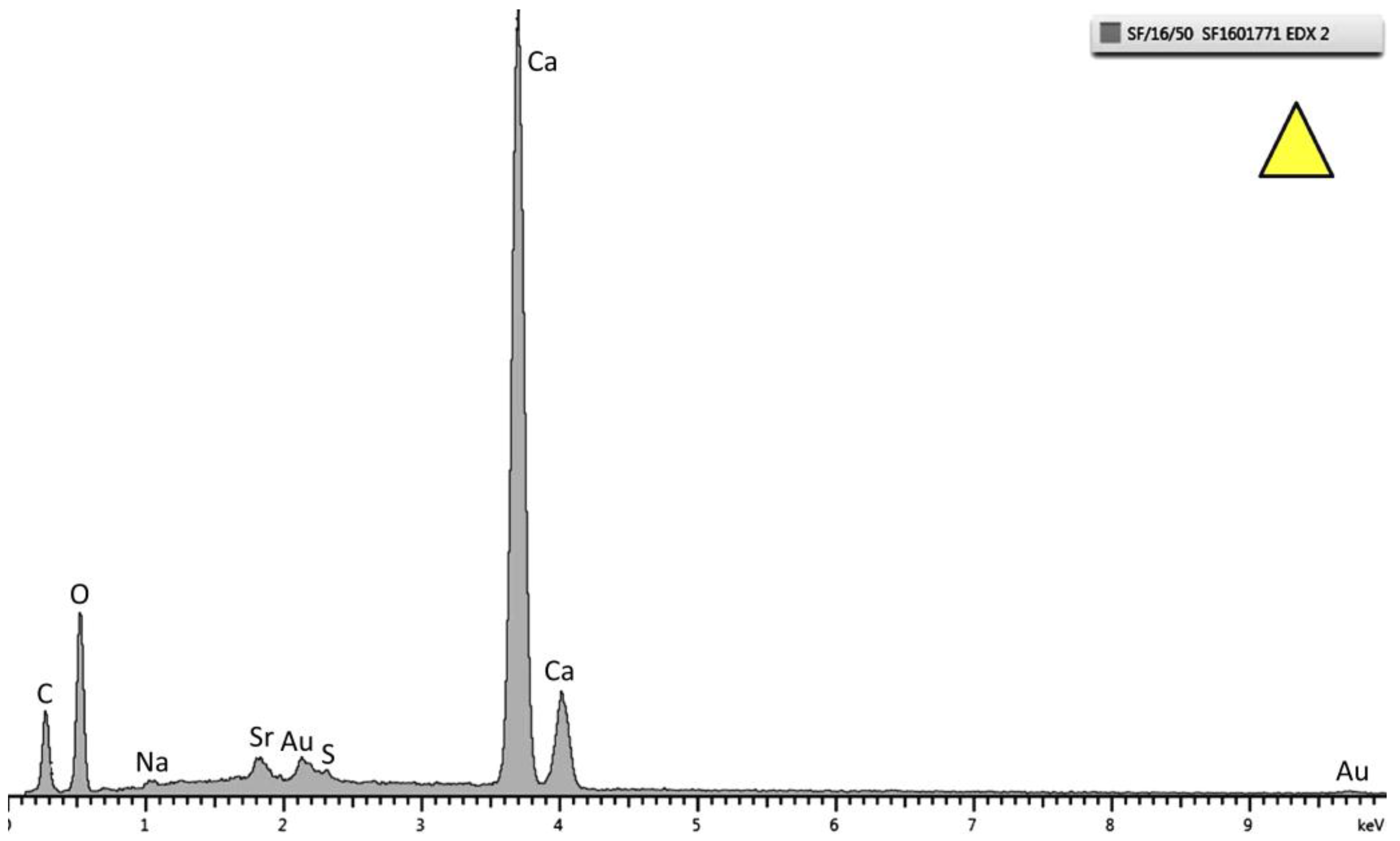 Coatings 07 00052 g006