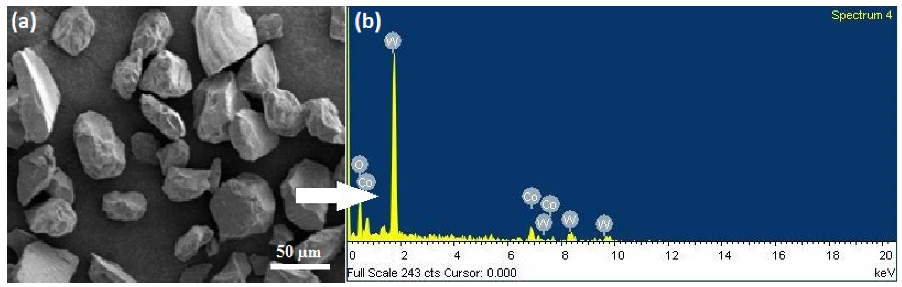 Coatings 07 00054 g004 550