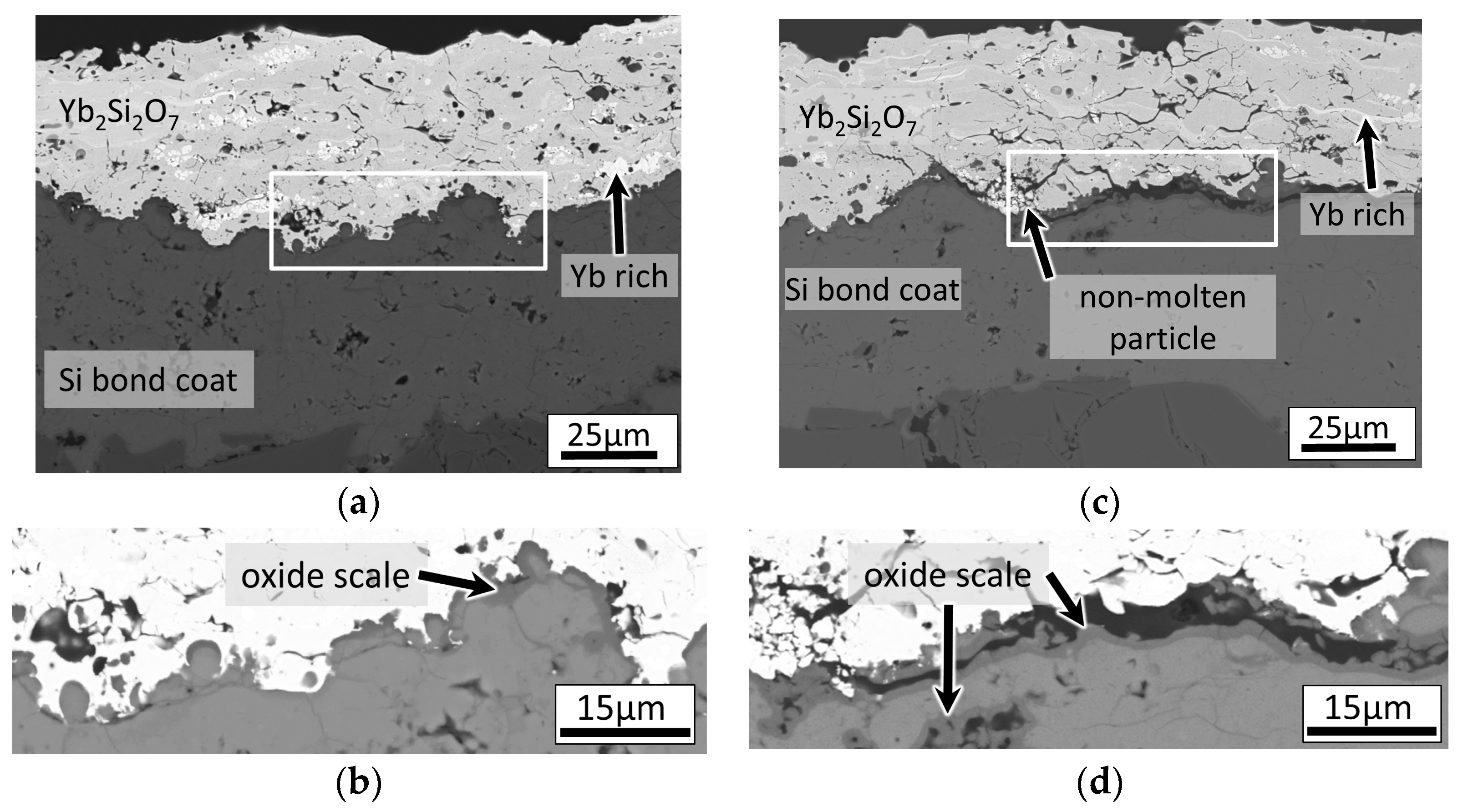 Coatings 07 00055 g009