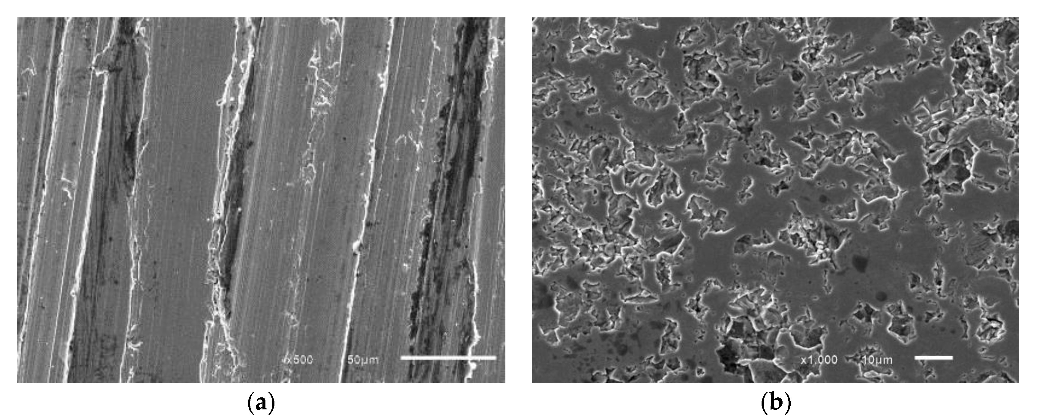 Coatings 07 00061 g007 550