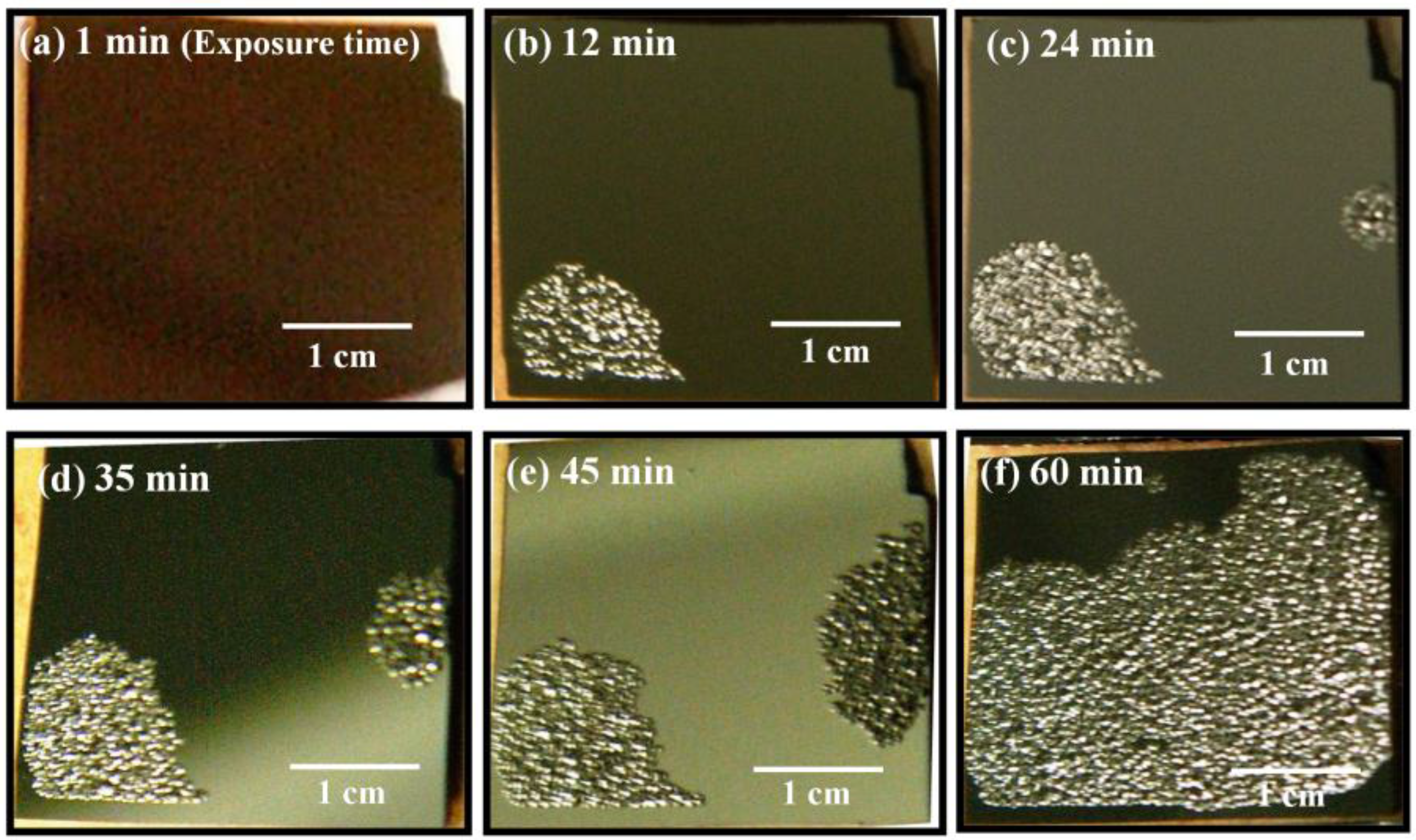 Coatings 07 00064 g001