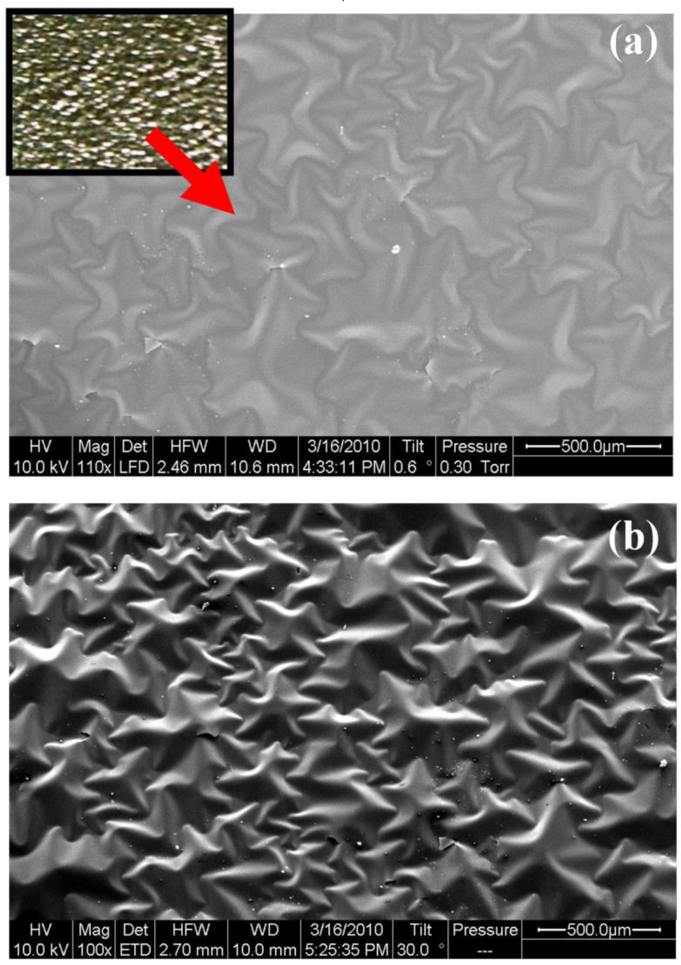 Coatings 07 00064 g003