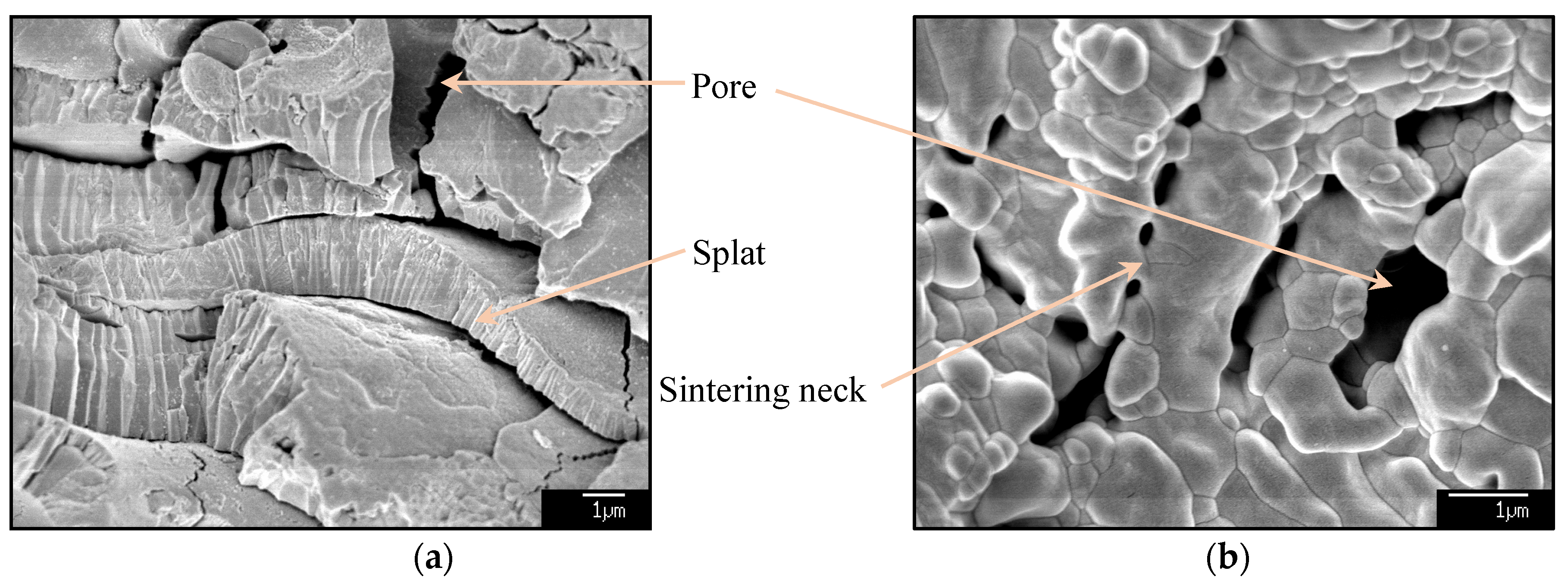 Coatings 07 00068 g008