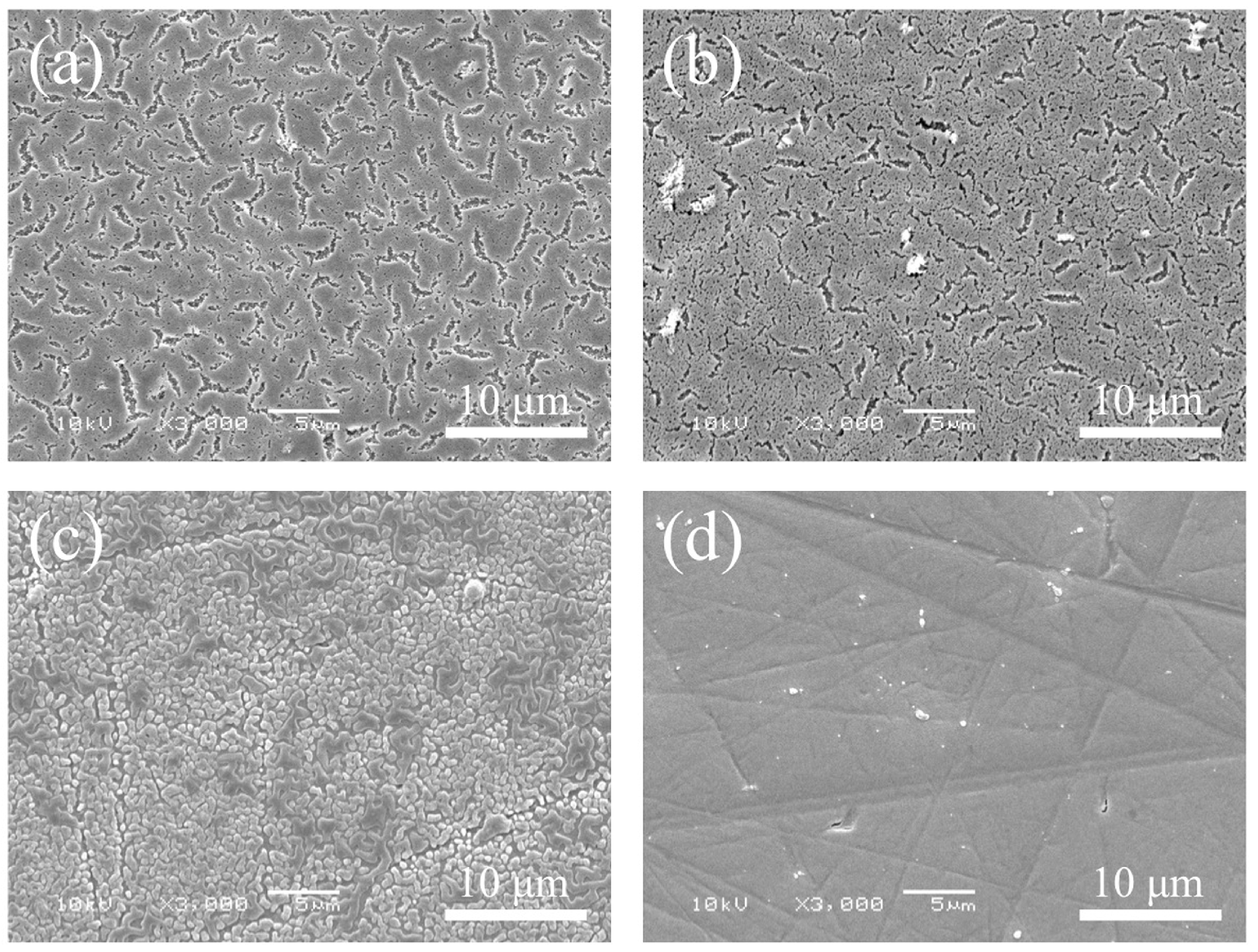 Coatings 07 00069 g002
