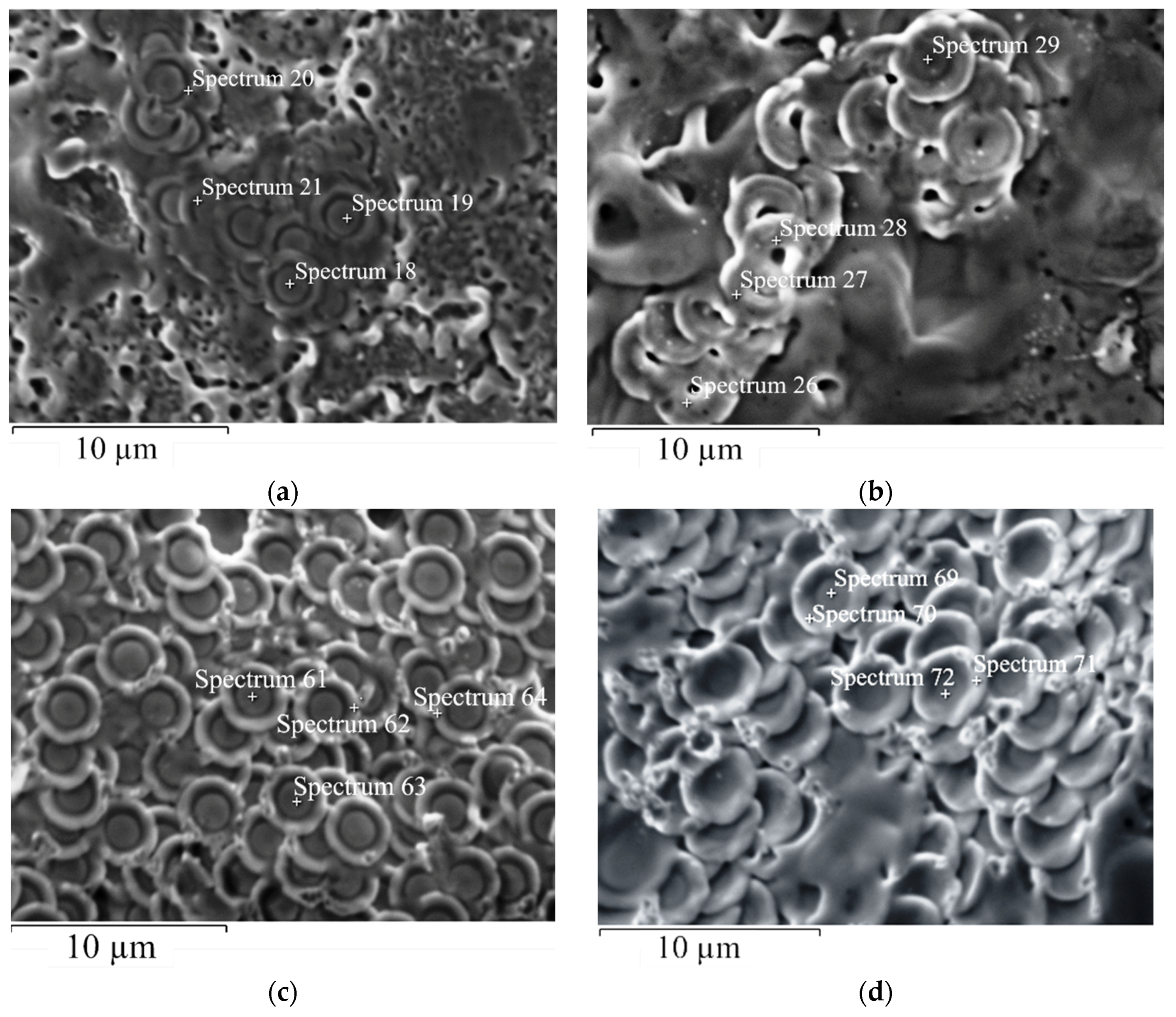 Coatings 07 00075 g005 550