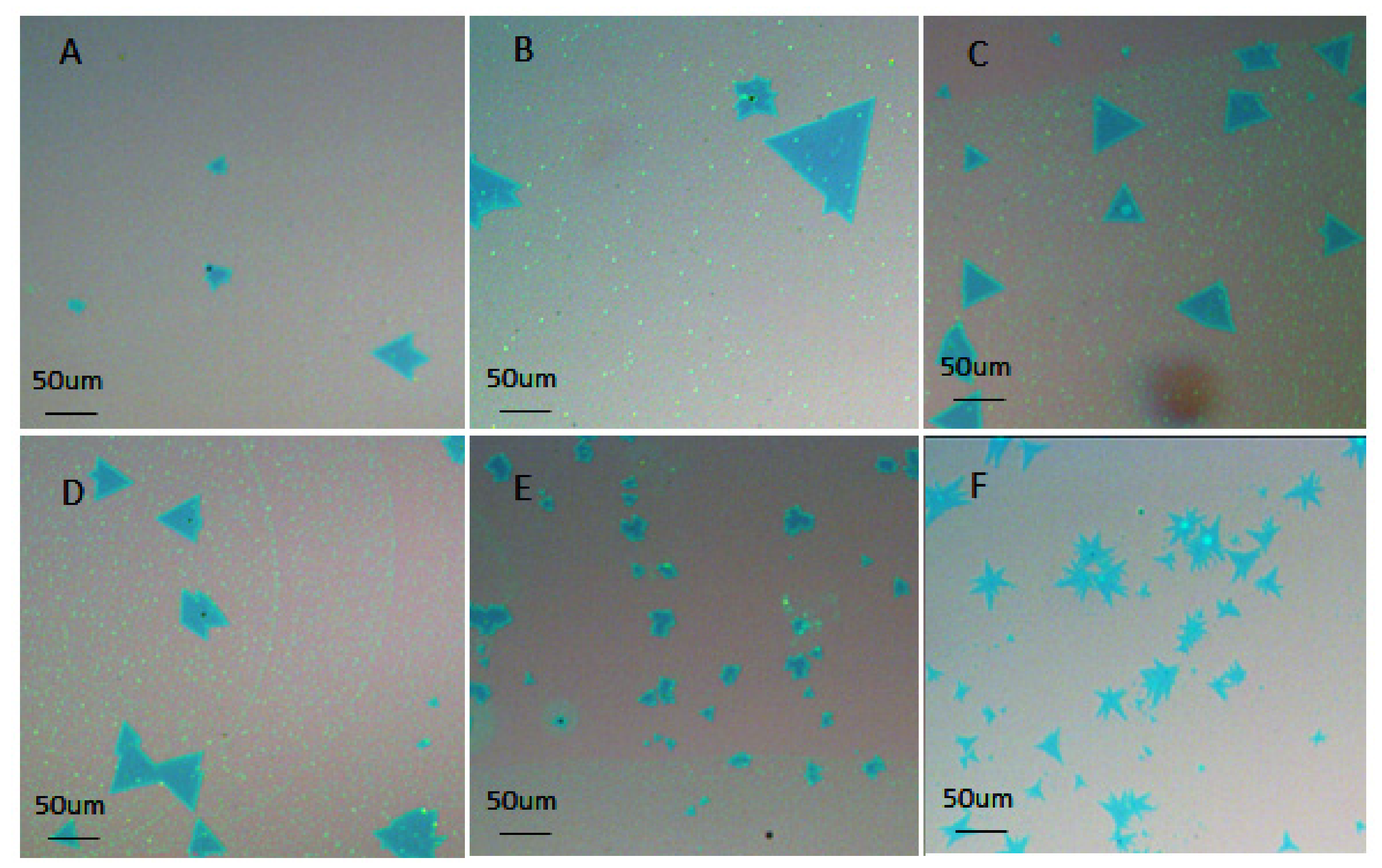Coatings 07 00078 g002 550
