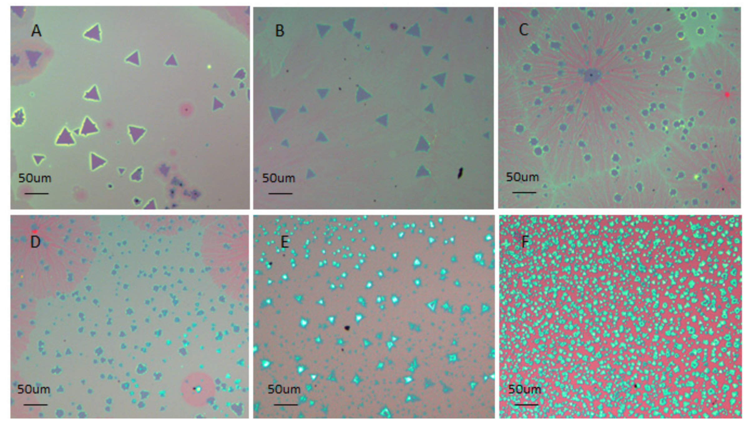 Coatings 07 00078 g003 550