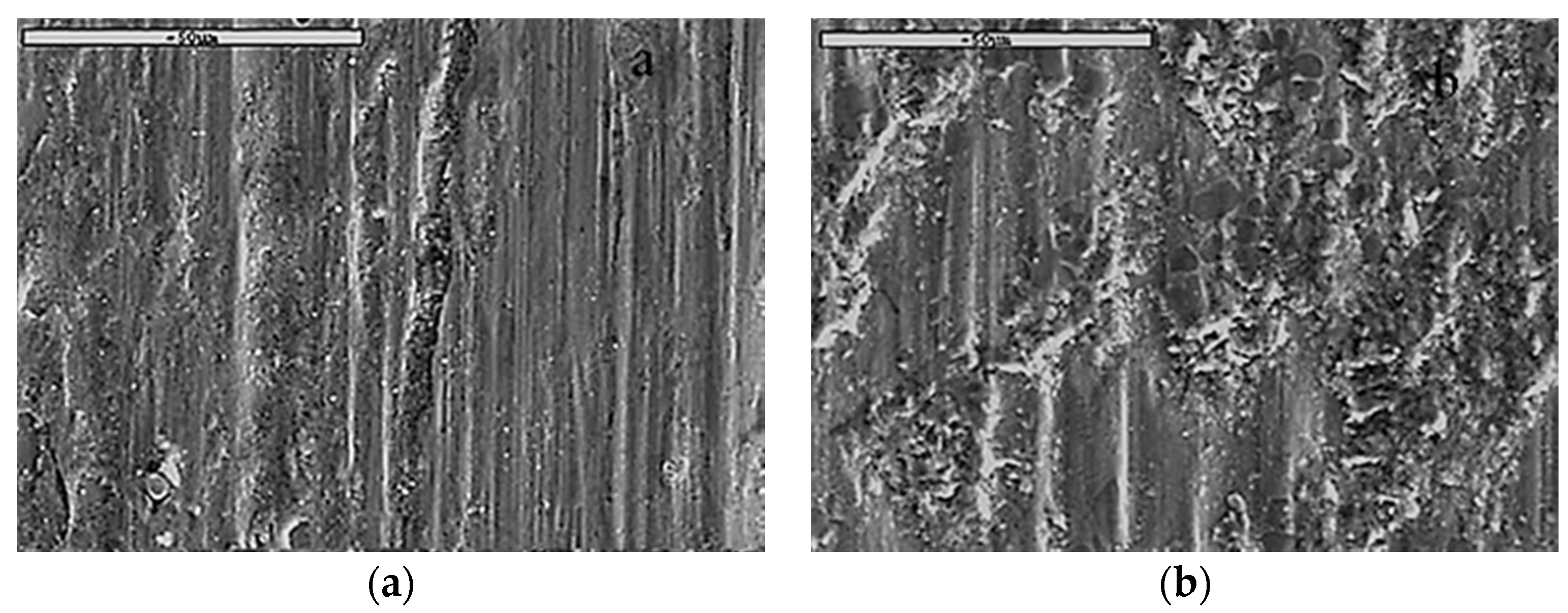 Coatings 07 00080 g009