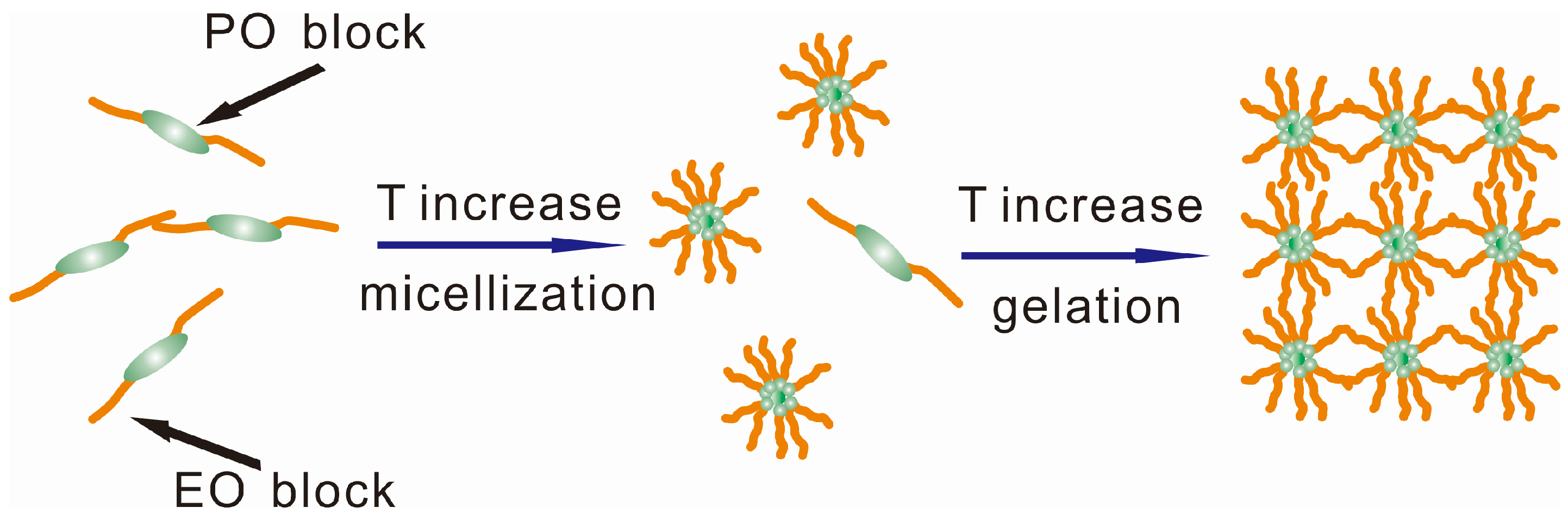 Coatings 07 00082 g005