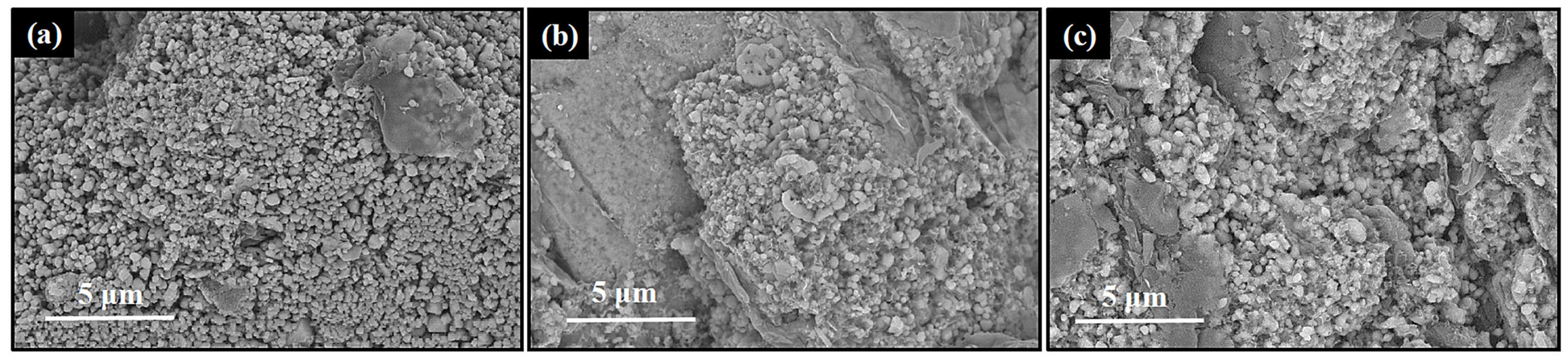 Coatings 07 00085 g006