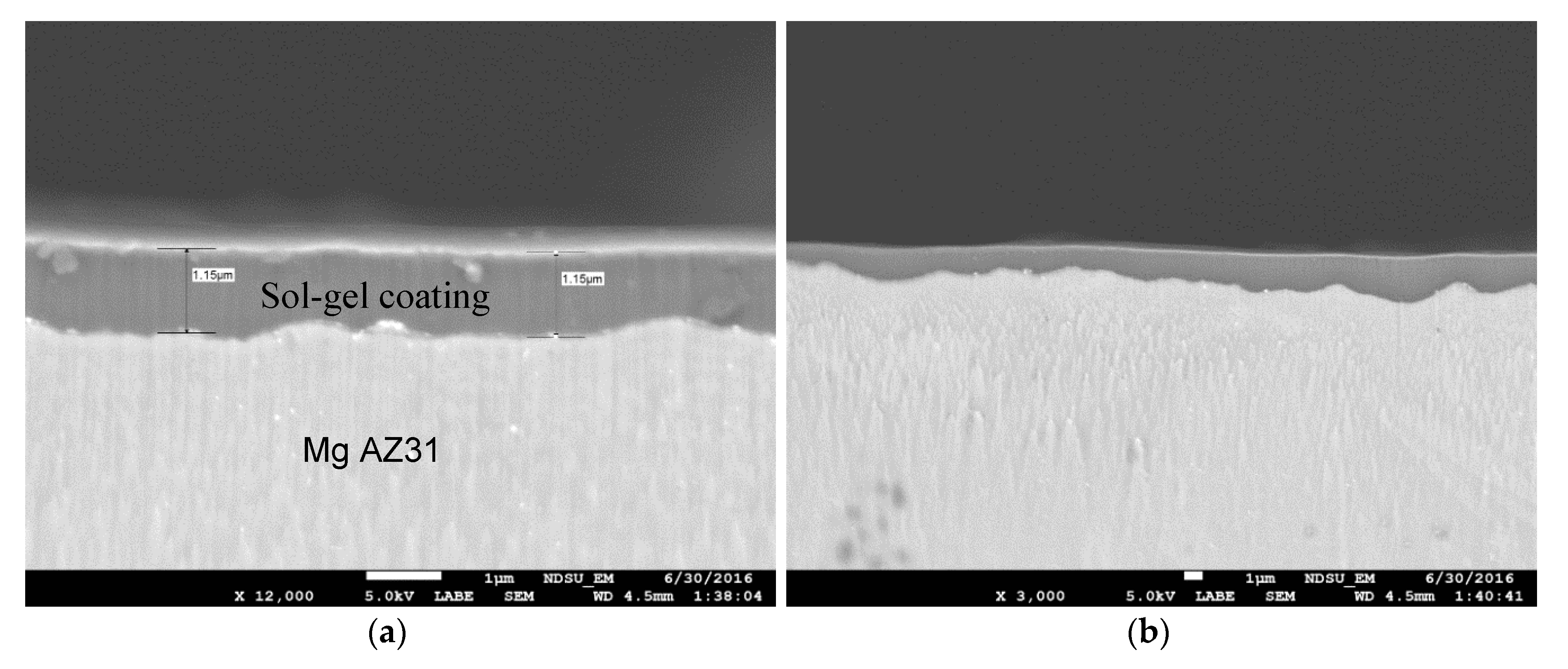 Coatings 07 00086 g004a