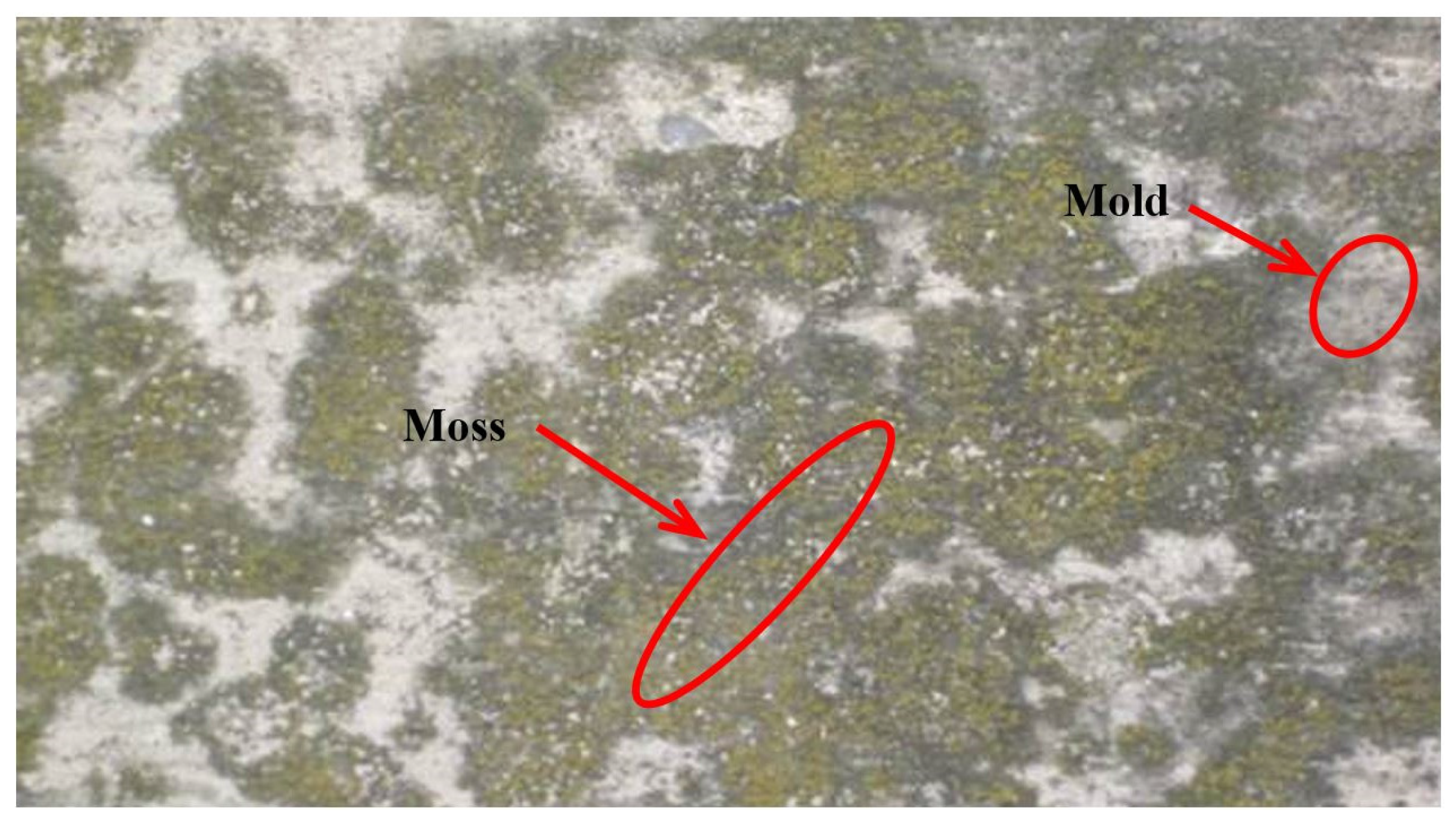 Coatings 07 00090 g010