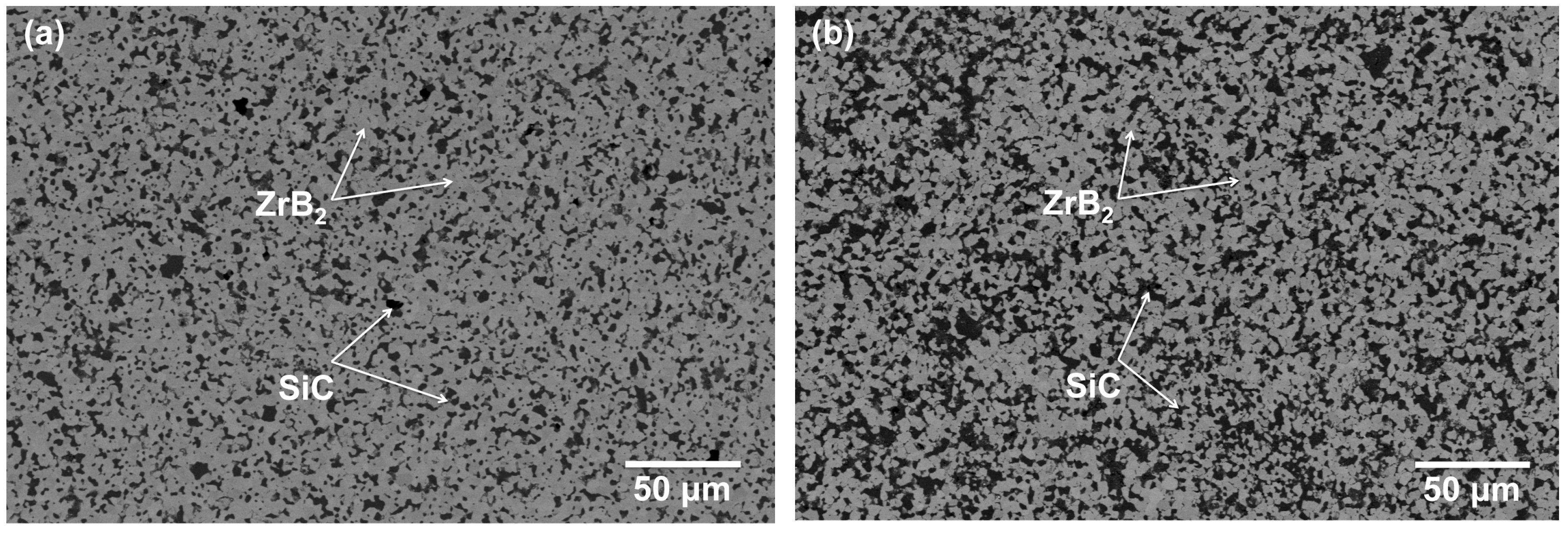 Coatings 07 00092 g001