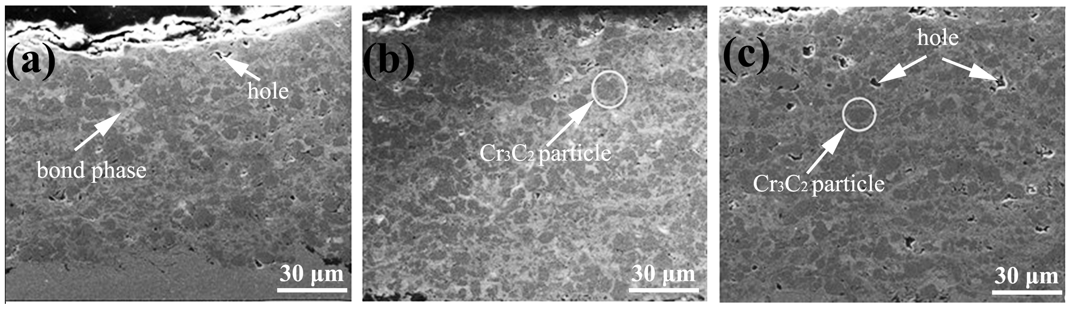 Coatings 07 00098 g002