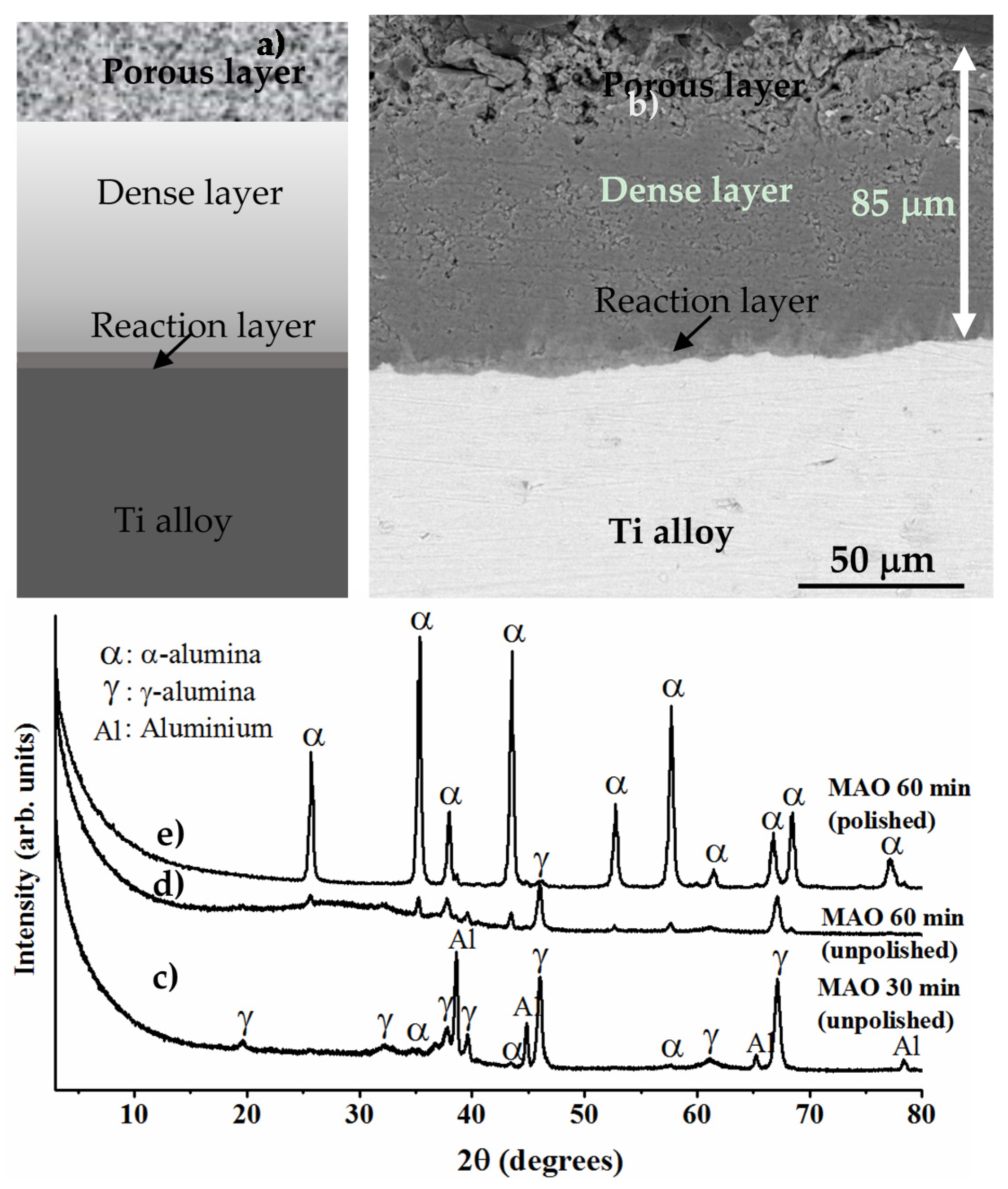 Coatings 07 00099 g007