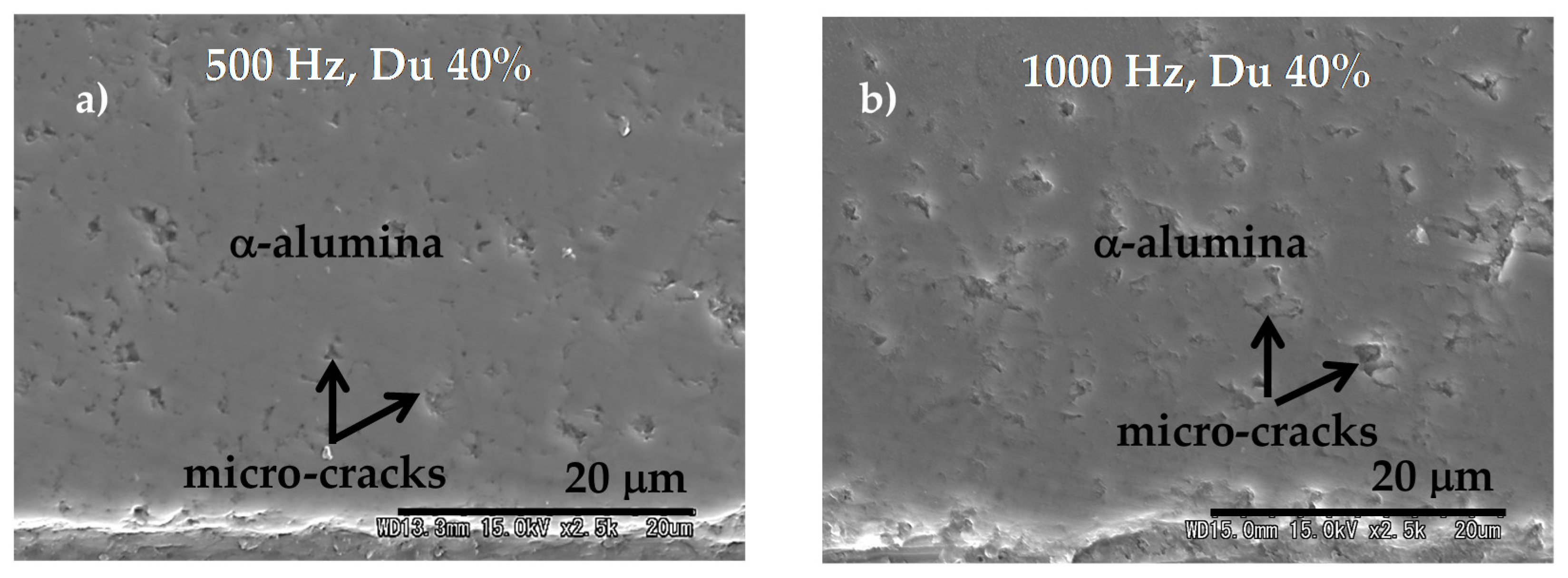 Coatings 07 00099 g008
