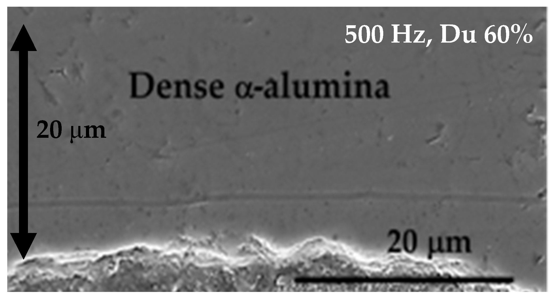 Coatings 07 00099 g009
