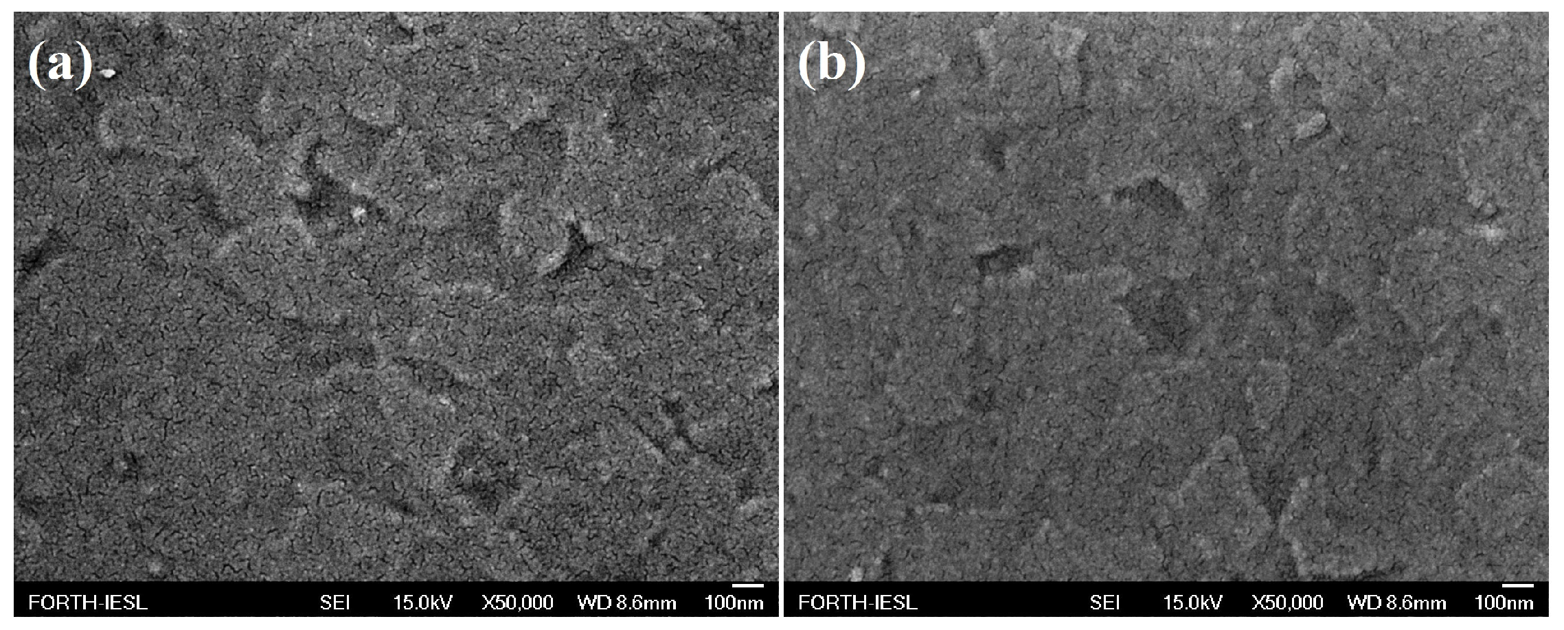 Coatings 07 00100 g004