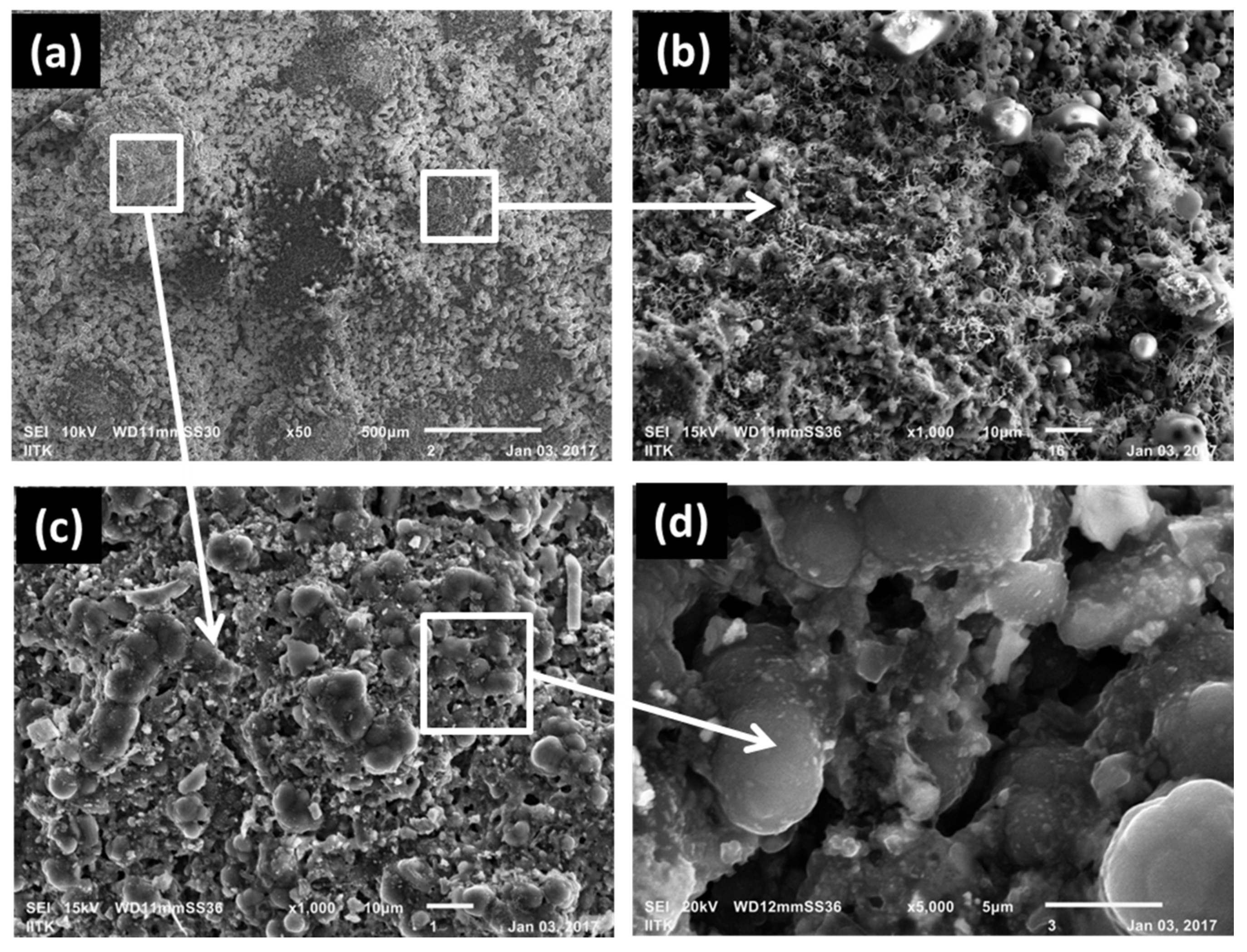 Coatings 07 00101 g005