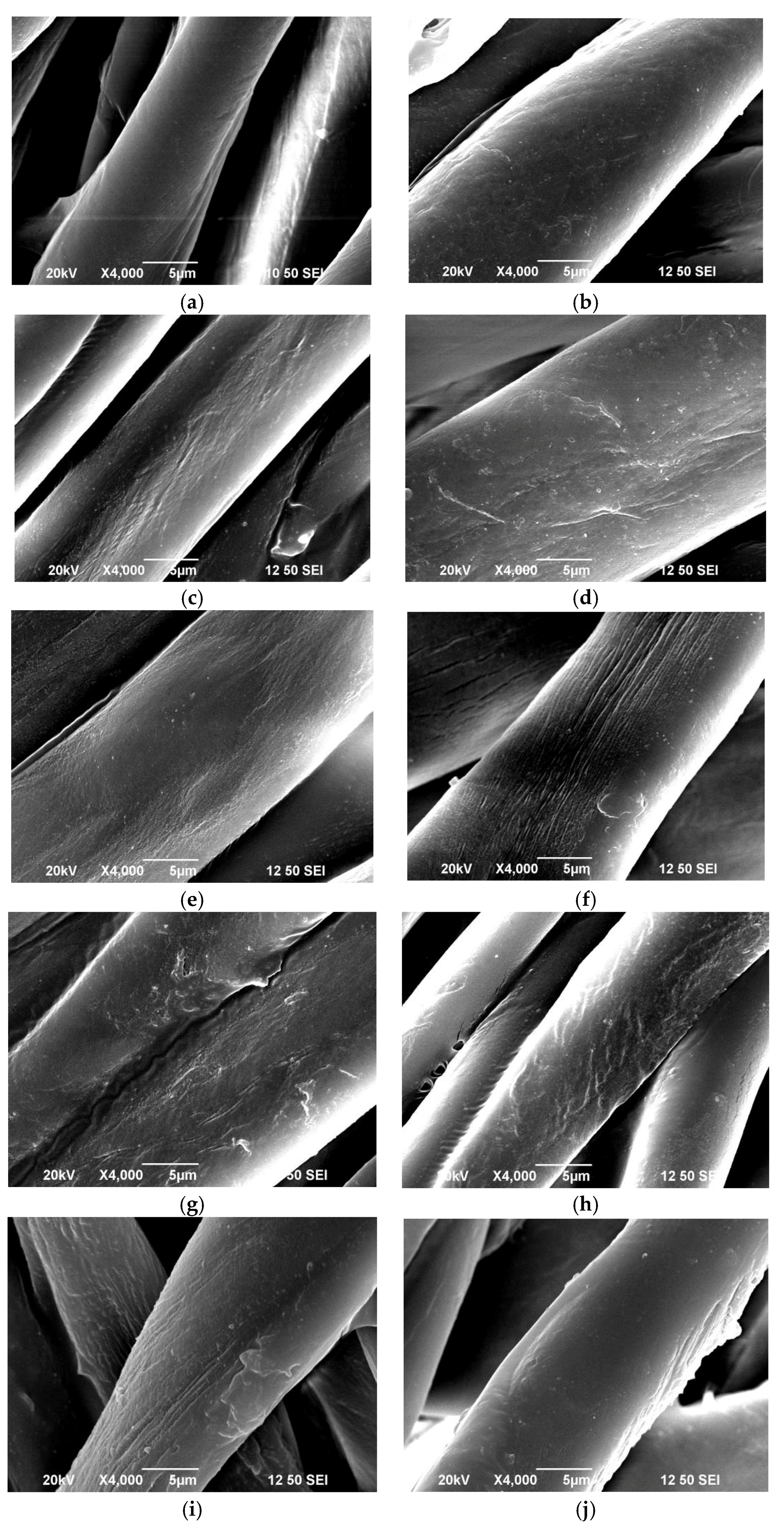 Coatings 07 00104 g002