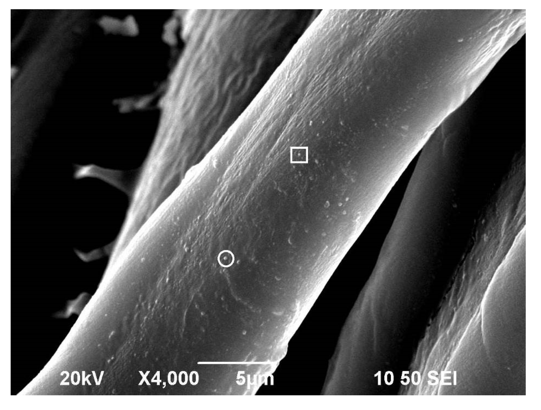 Coatings 07 00104 g003