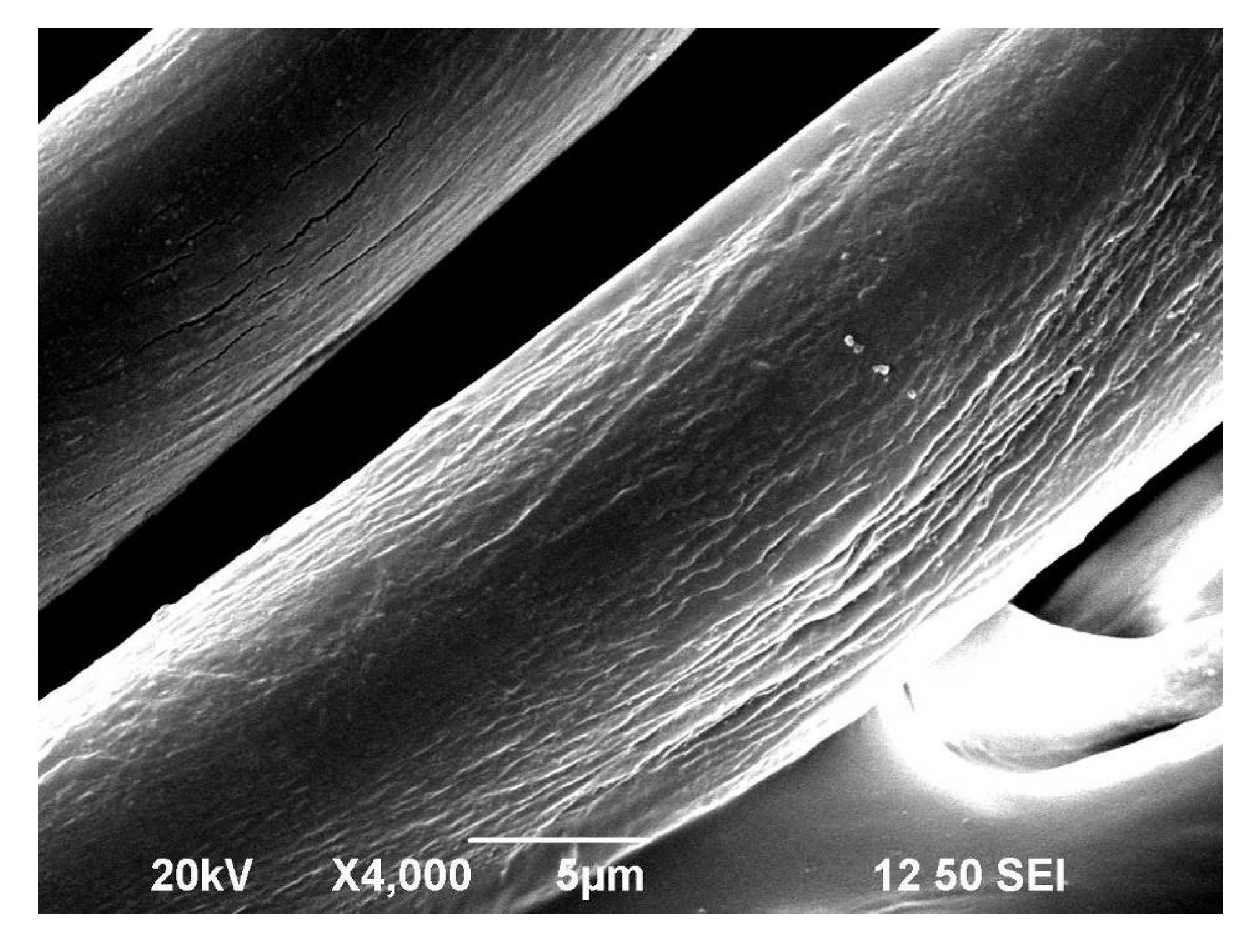 Coatings 07 00104 g004