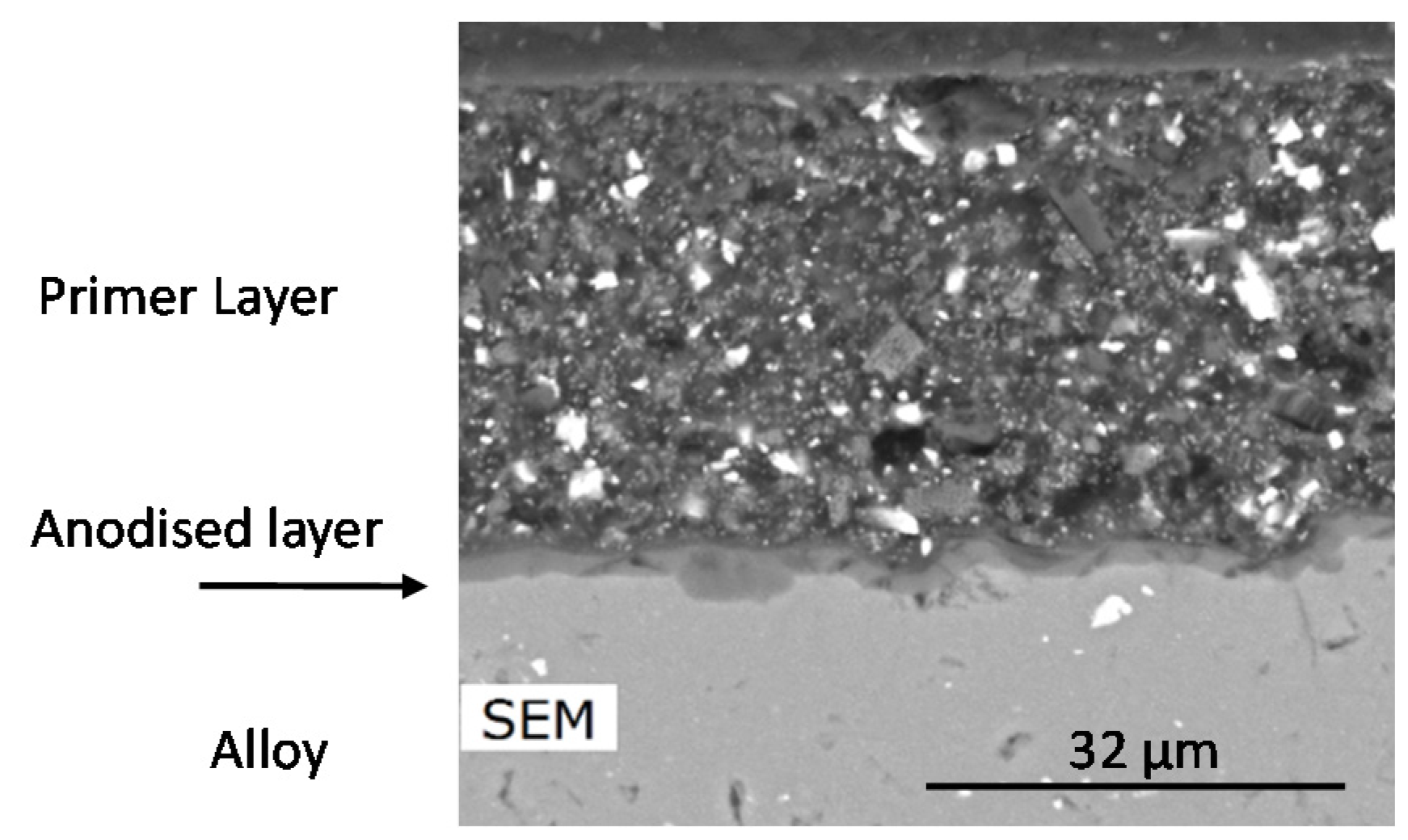 Coatings 07 00106 g002
