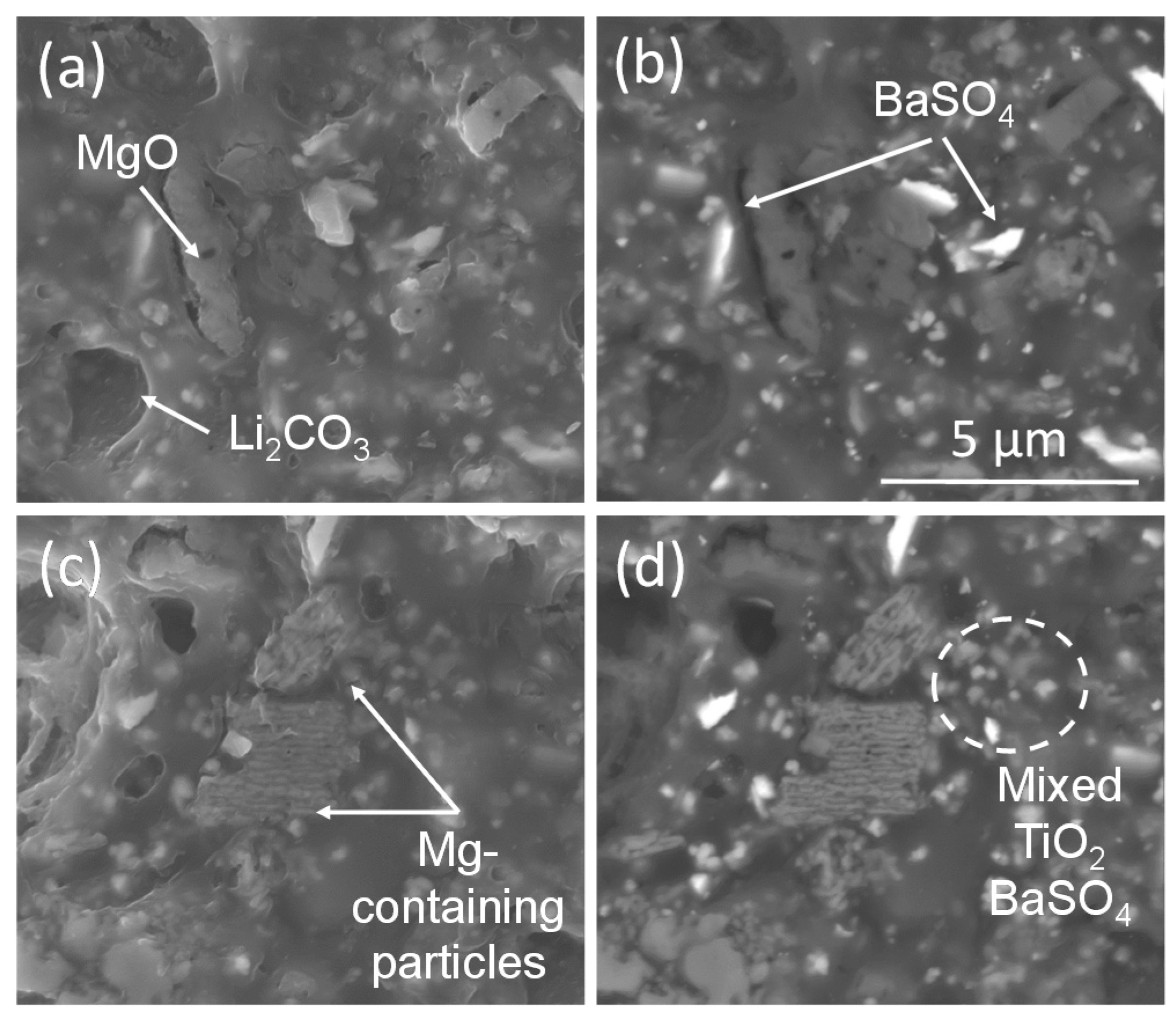 Coatings 07 00106 g003