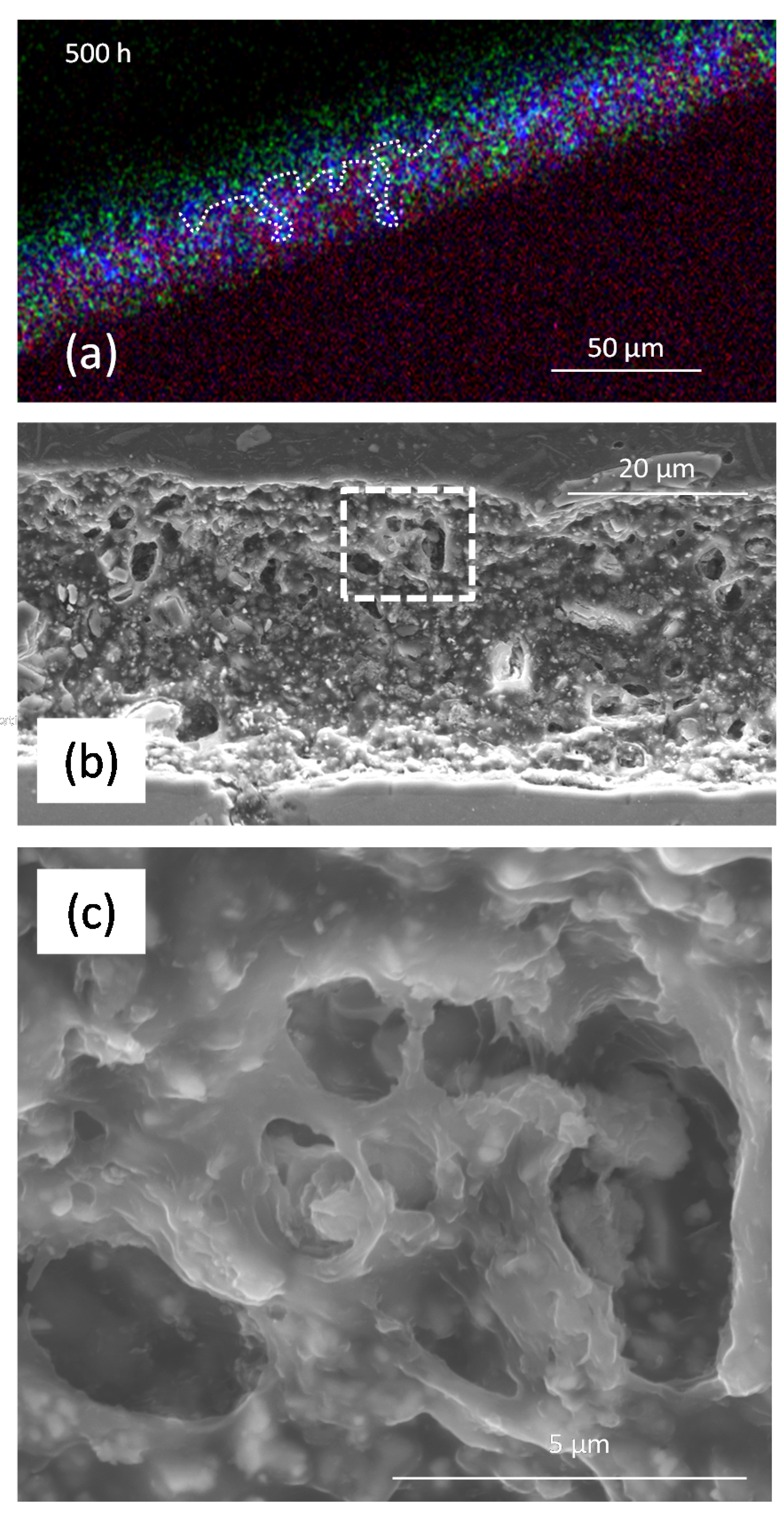 Coatings 07 00106 g014