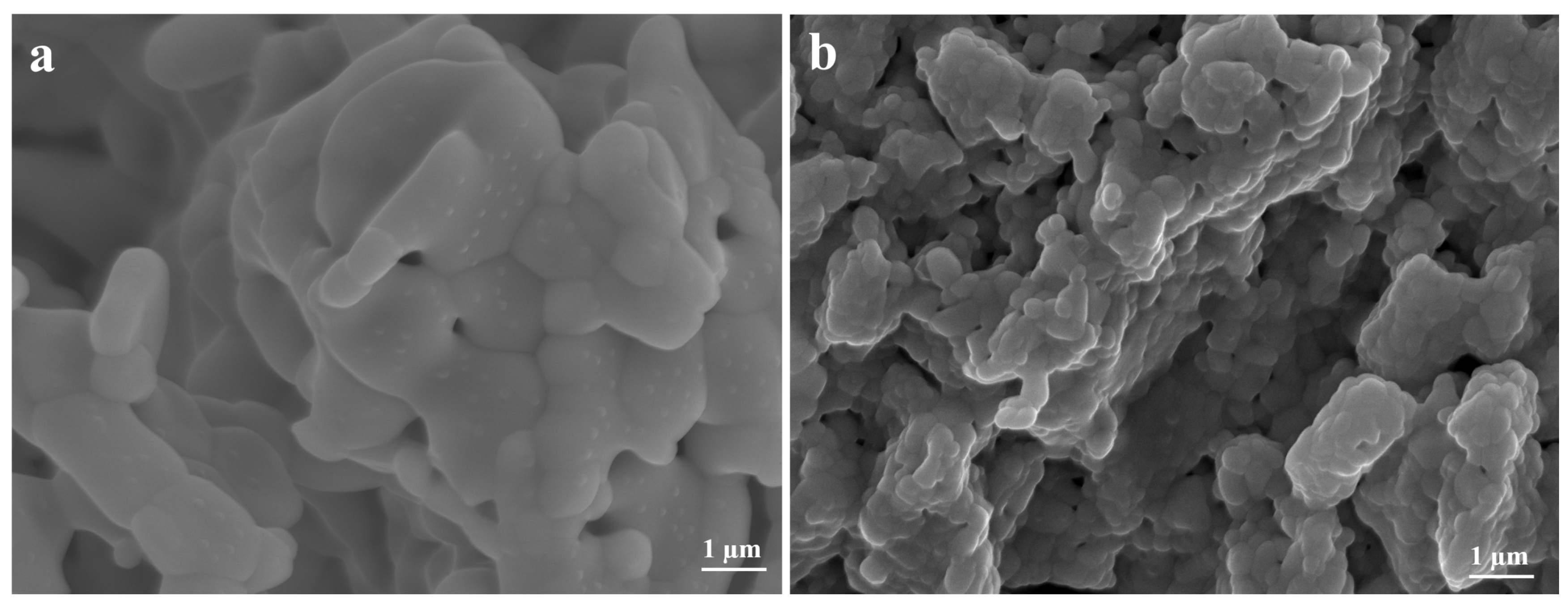 Coatings 07 00111 g004