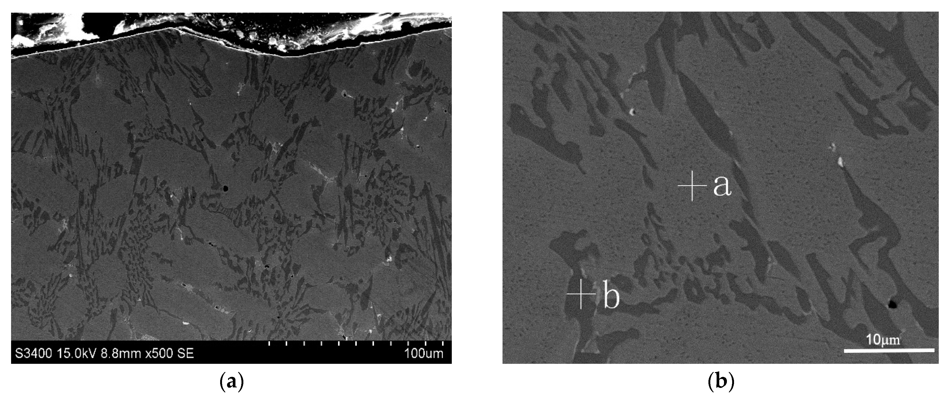 Coatings 07 00113 g004 550