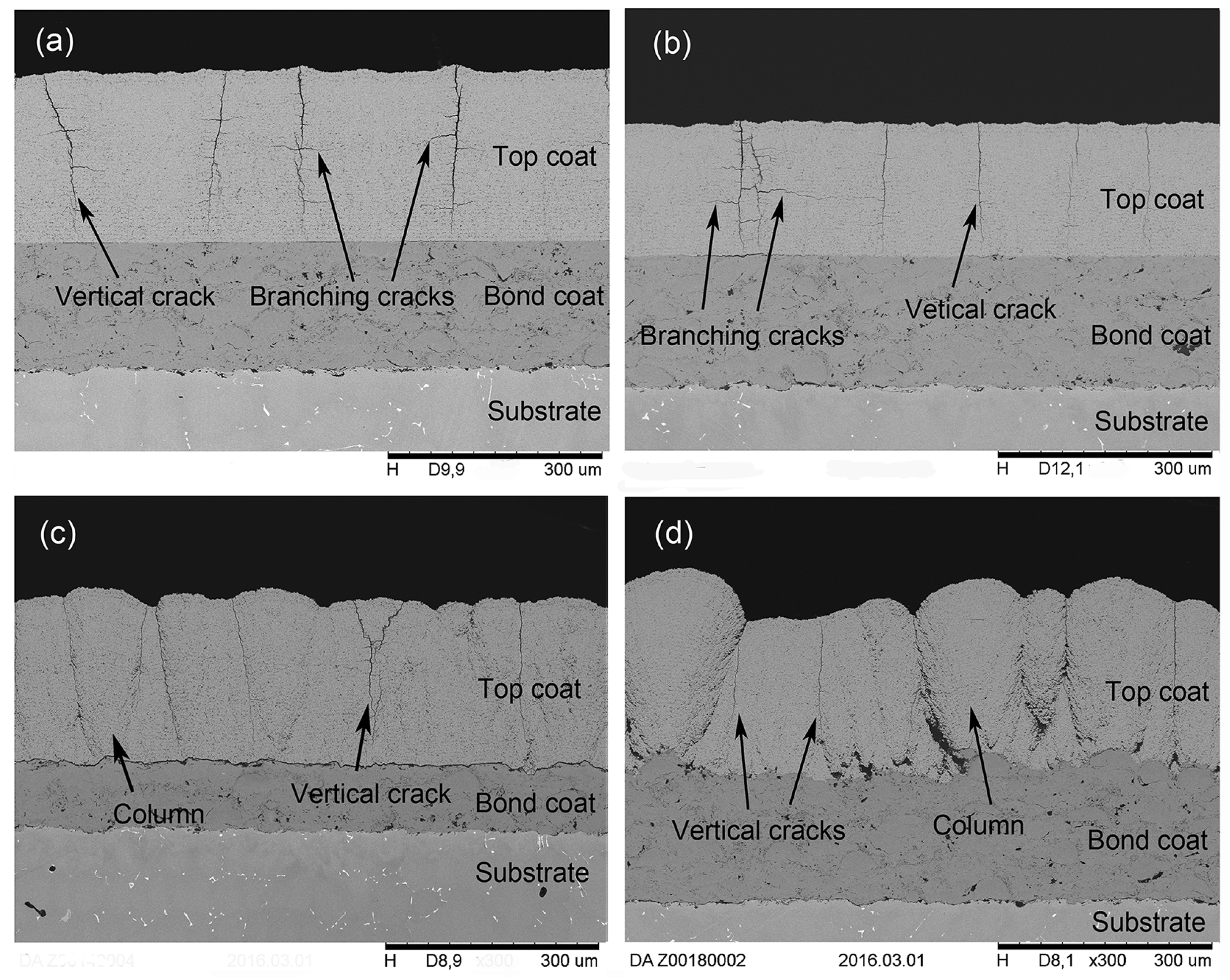 Coatings 07 00120 g001 Coatings 07 00120 g001