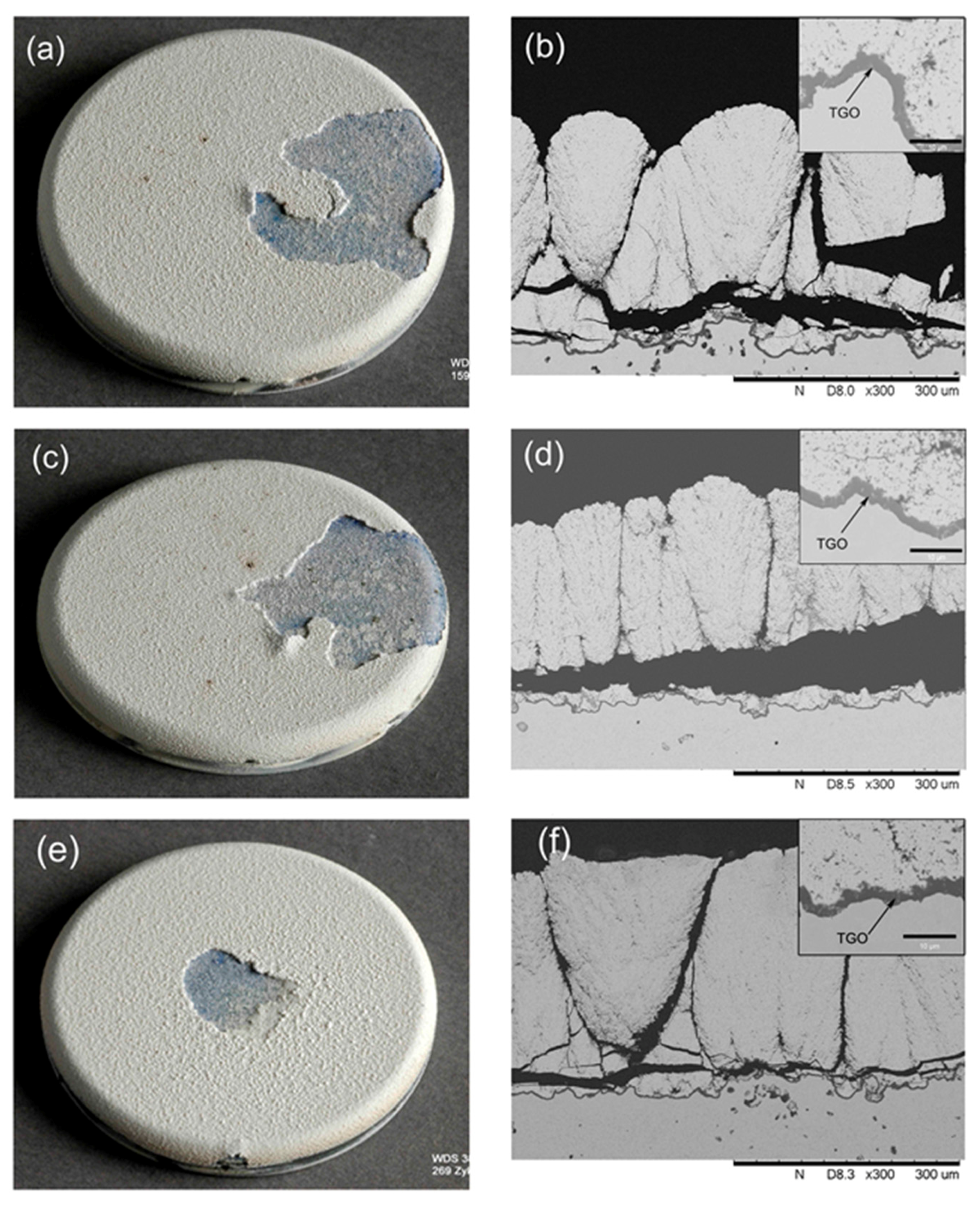 Coatings 07 00120 g008 Coatings 07 00120 g008
