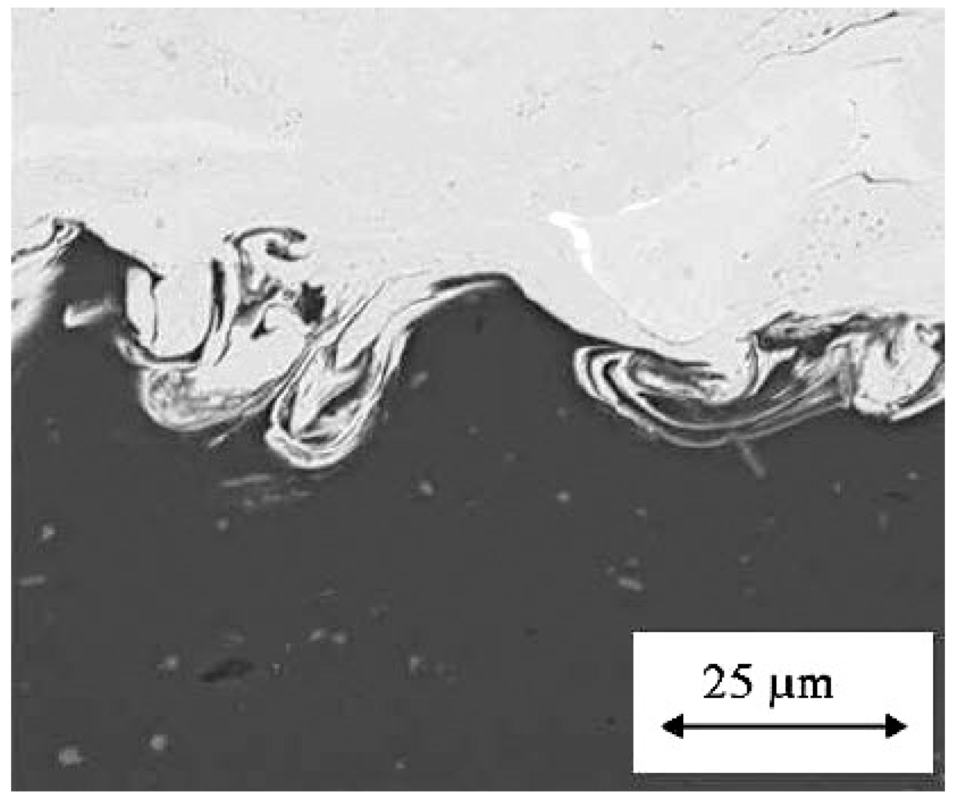 Coatings 07 00122 g006