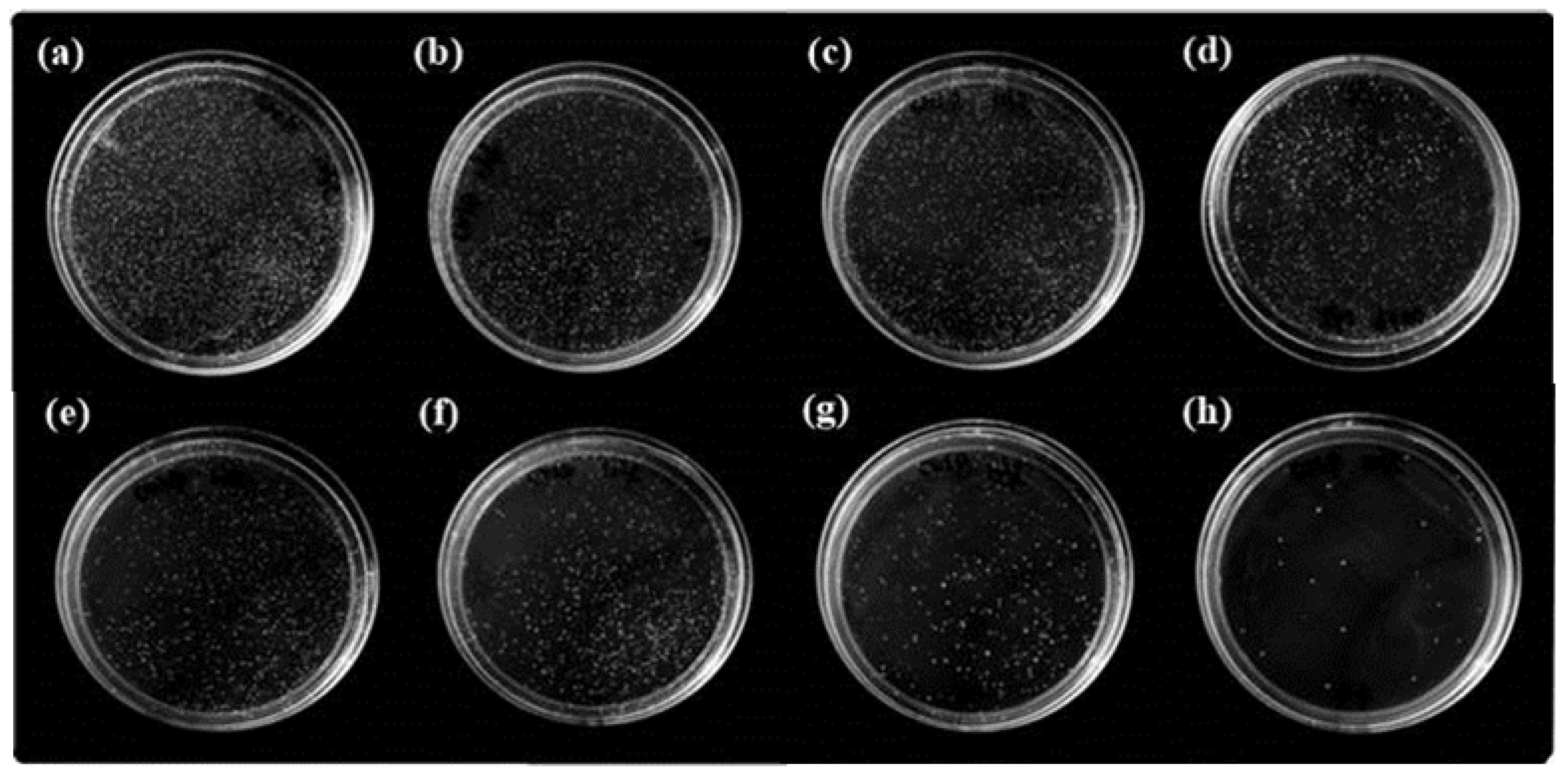 Coatings 07 00123 g008