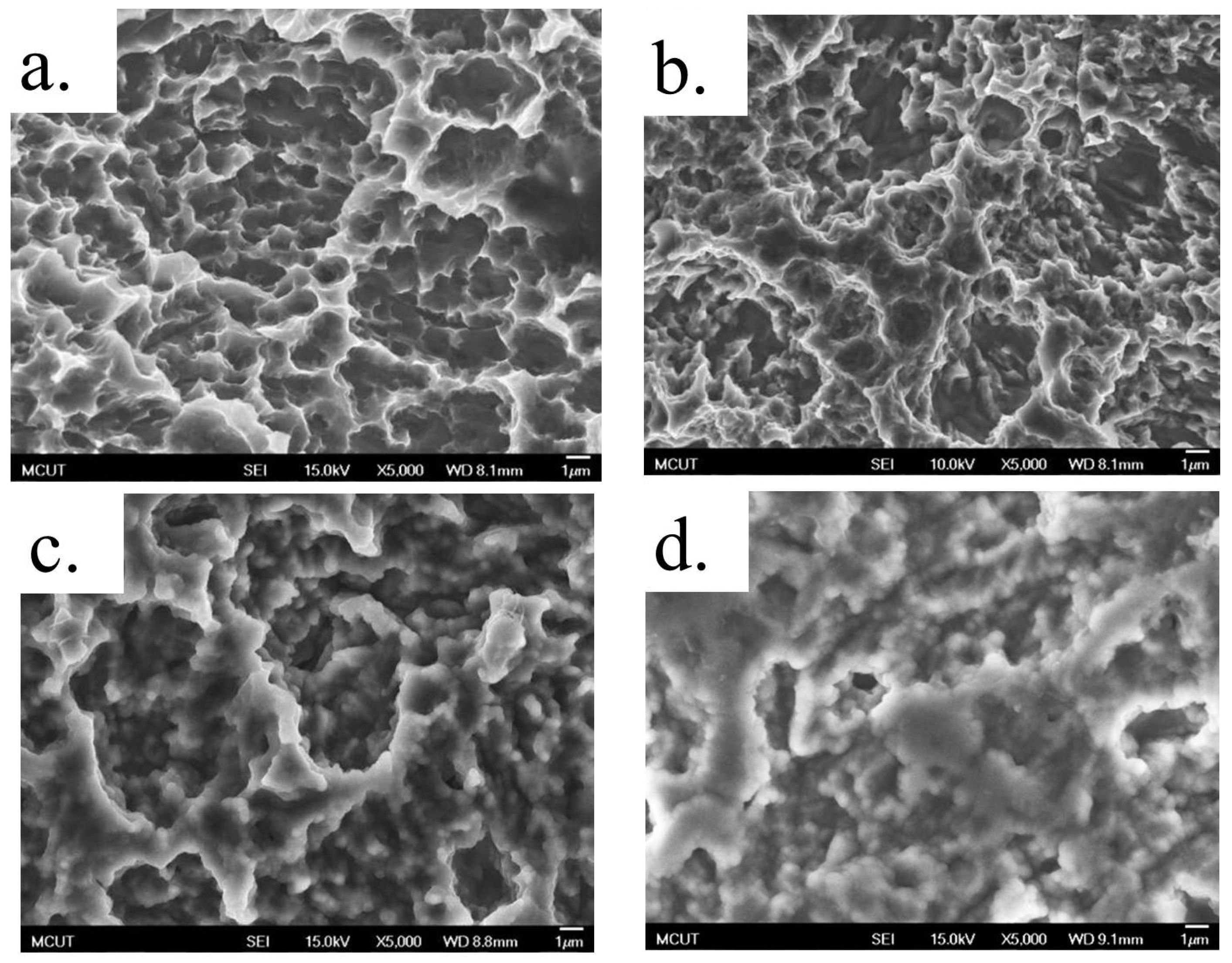 Coatings 07 00126 g007 550