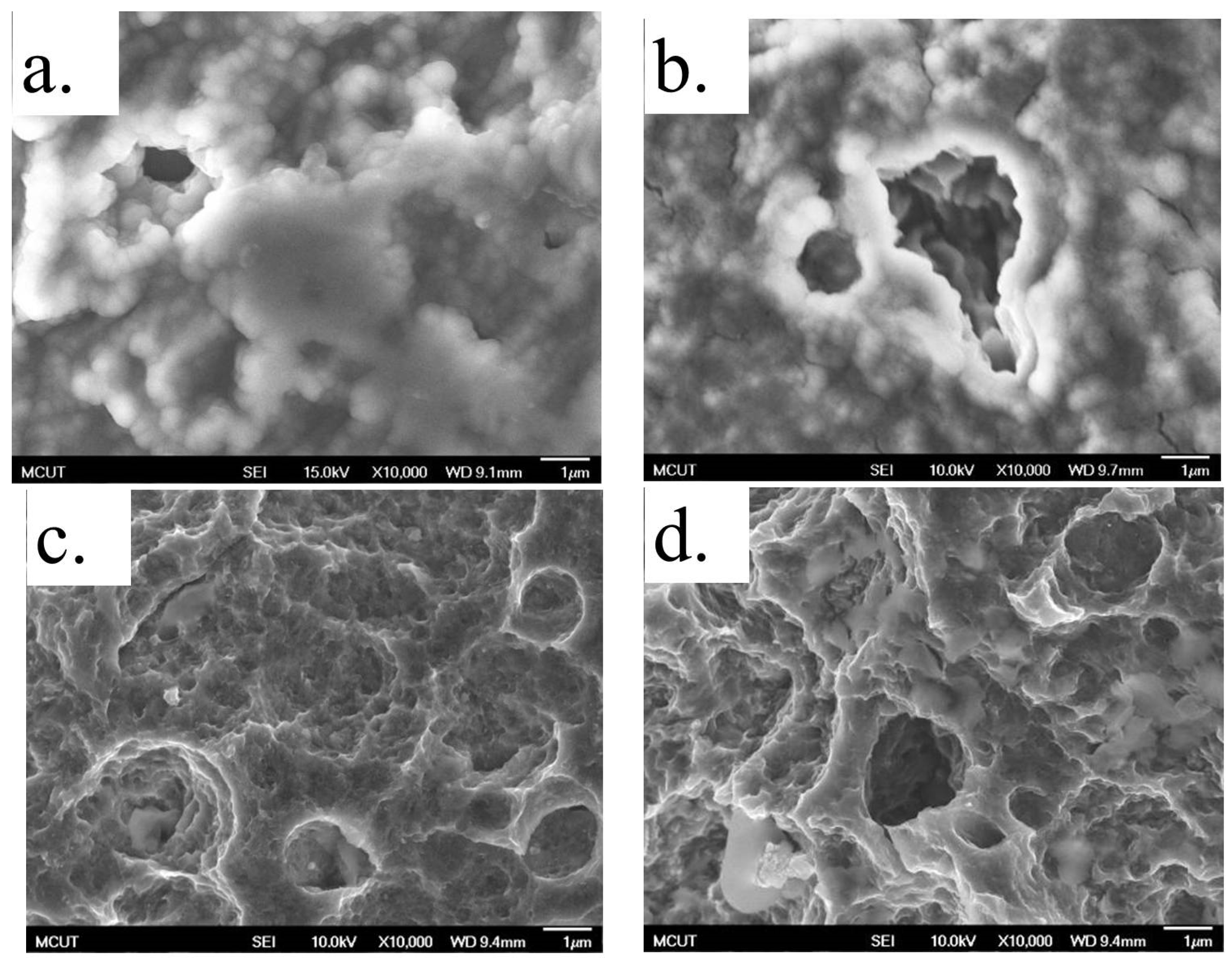 Coatings 07 00126 g009a 550