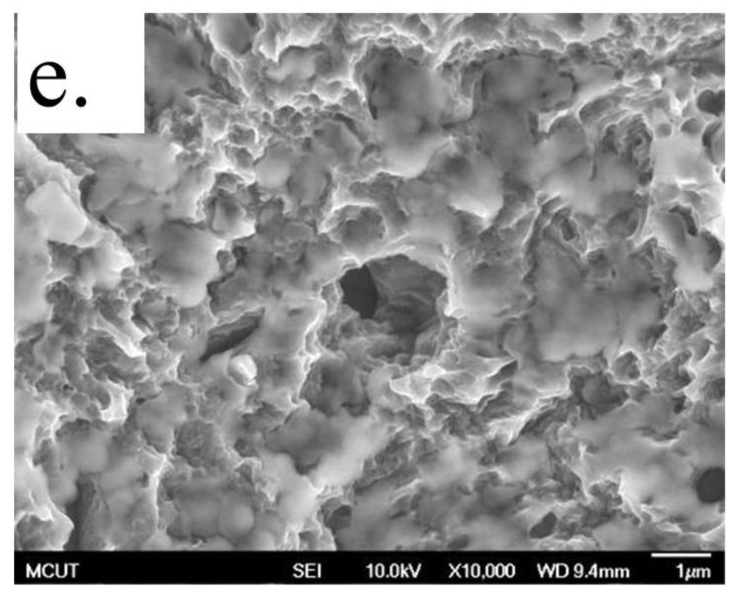 Coatings 07 00126 g009b 550