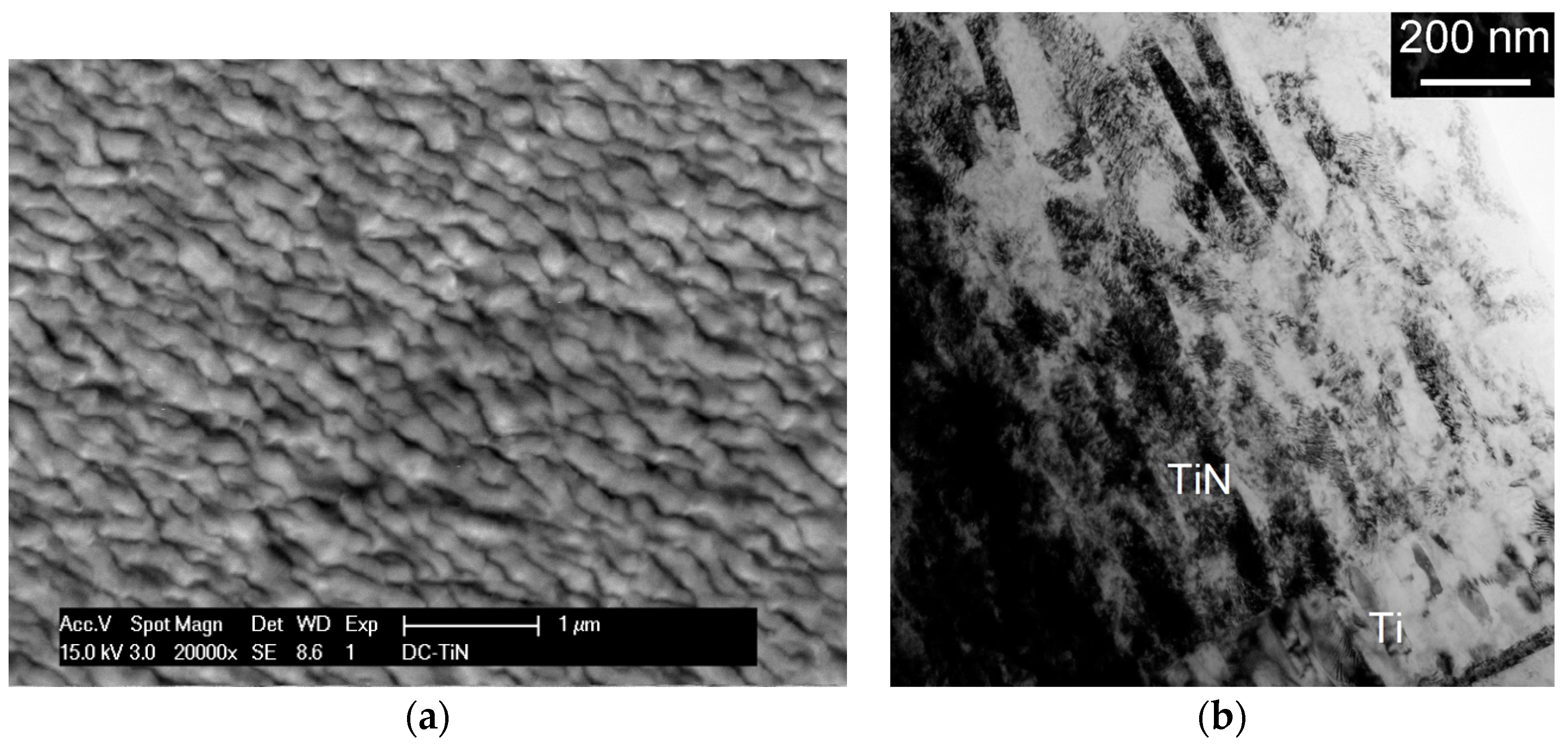 Coatings 07 00128 g002 Coatings 07 00128 g002