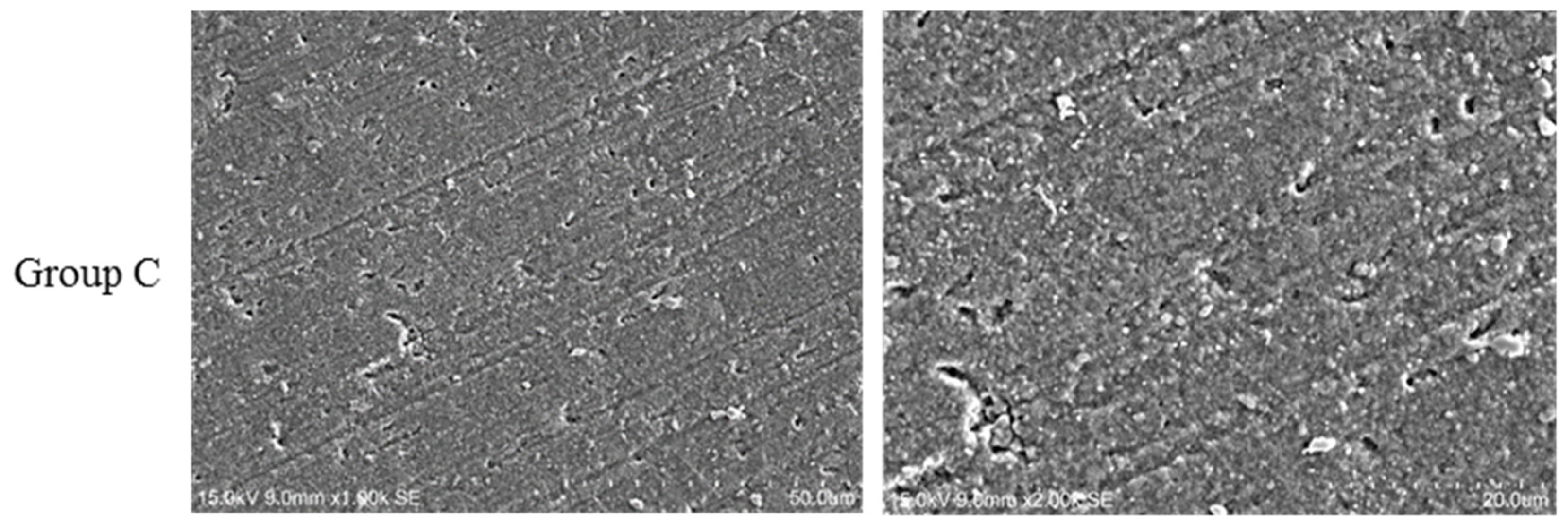 Coatings 07 00130 g001a