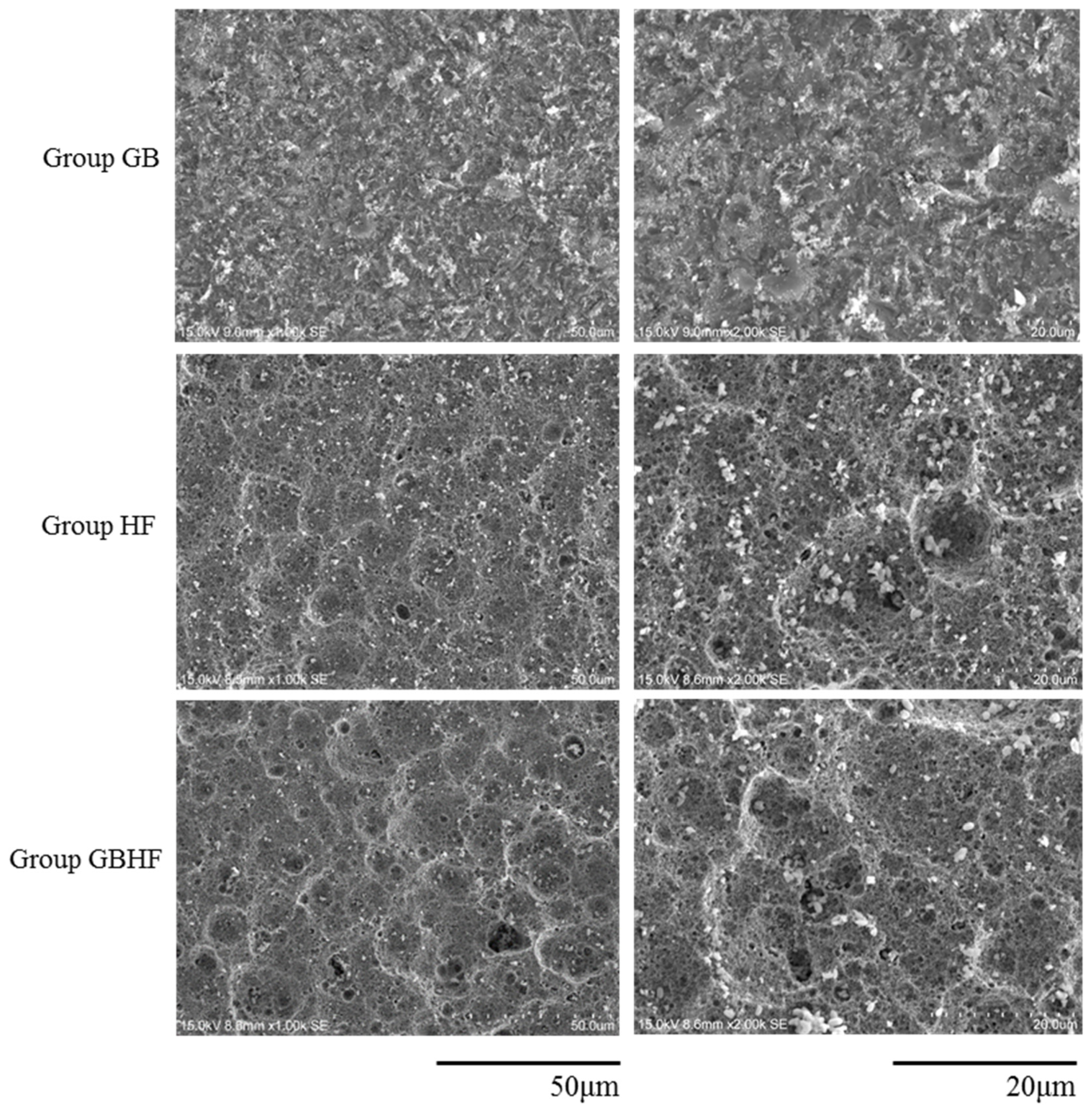 Coatings 07 00130 g001b