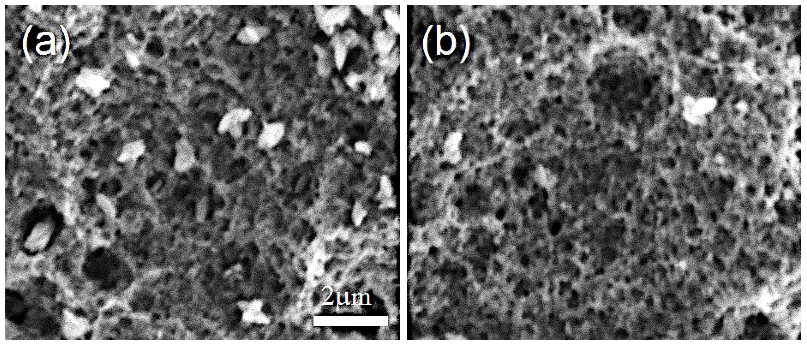 Coatings 07 00130 g002