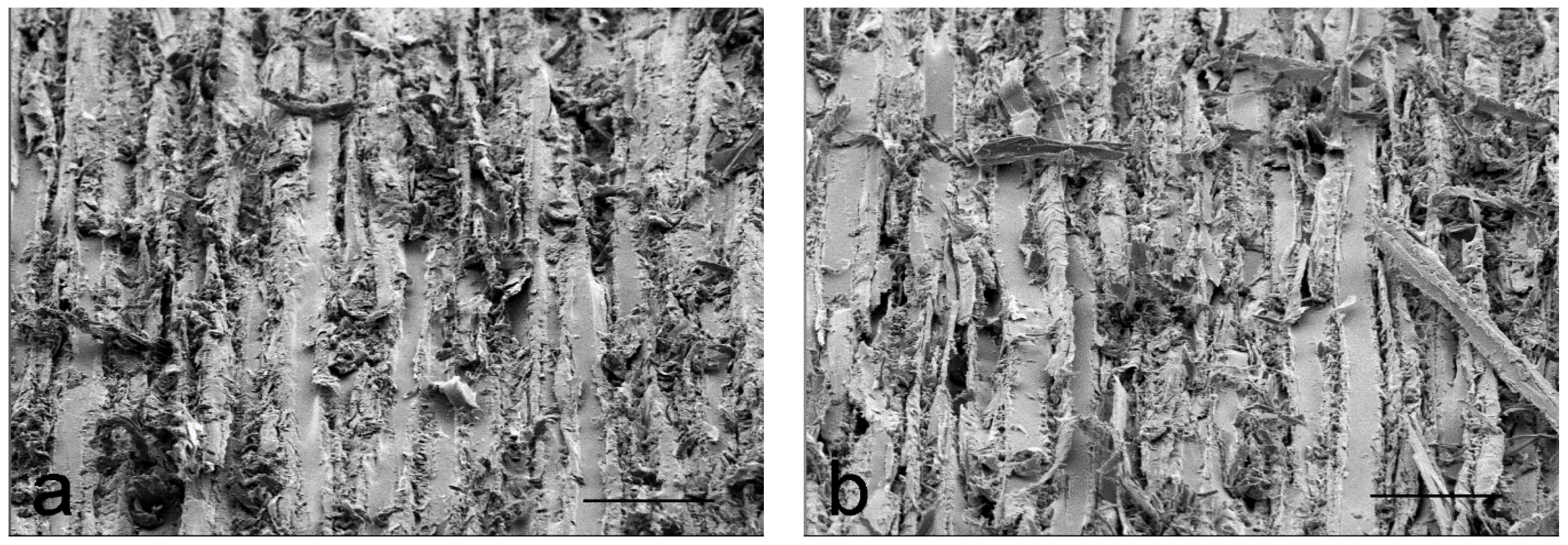 Coatings 07 00135 g005a 550