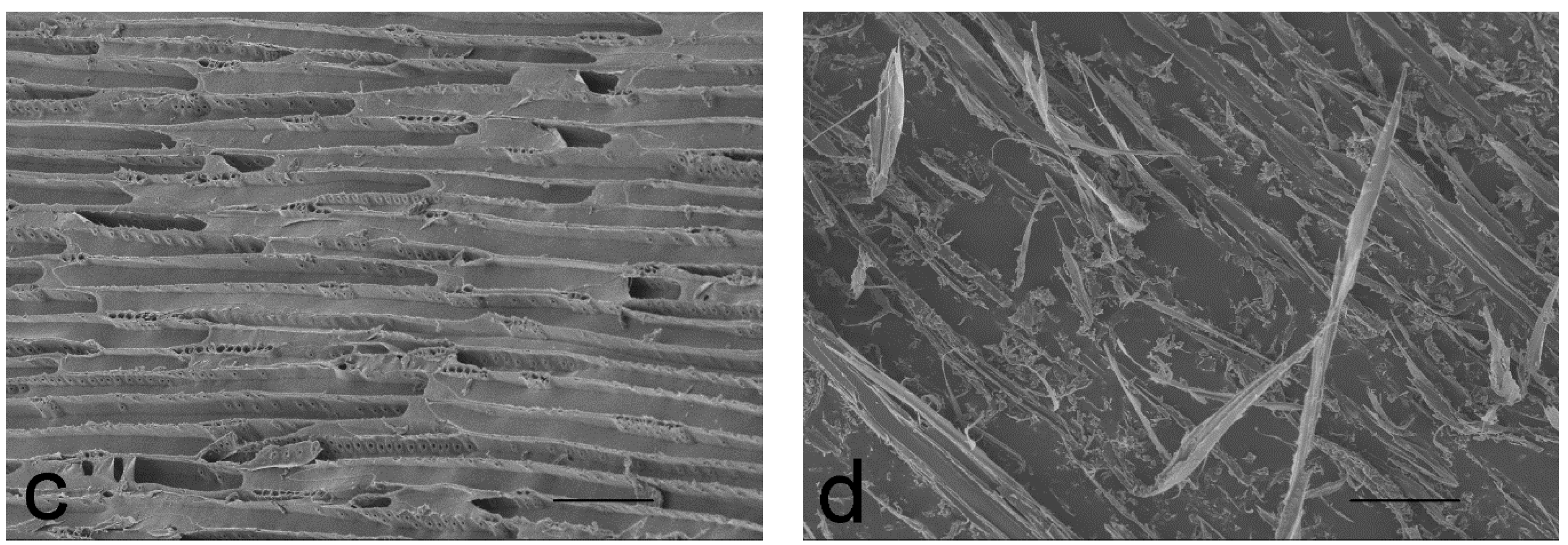 Coatings 07 00135 g005b 550